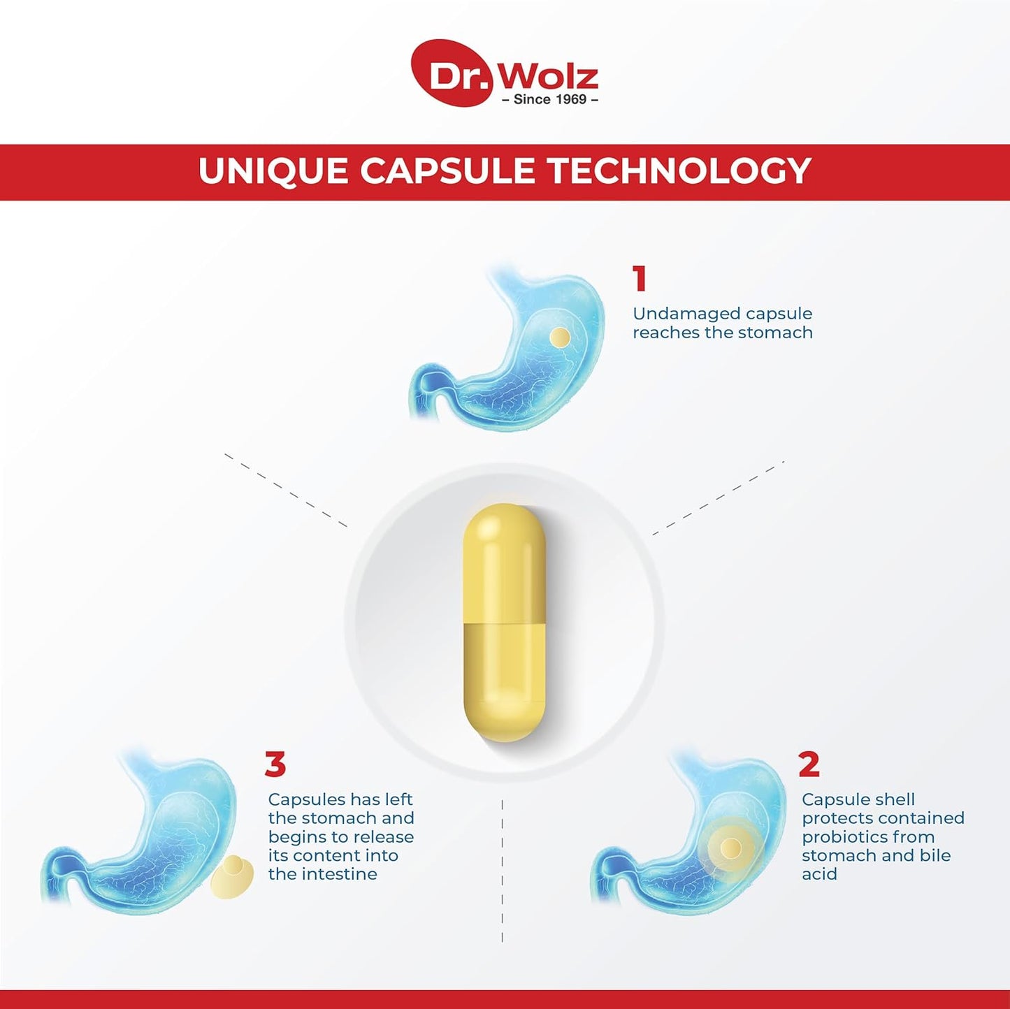 Premium Vegan Daily Probiotic Supplement for Gut Health - 120 Billion CFU, 22 Strains - Target Release Formula - 40 Capsules