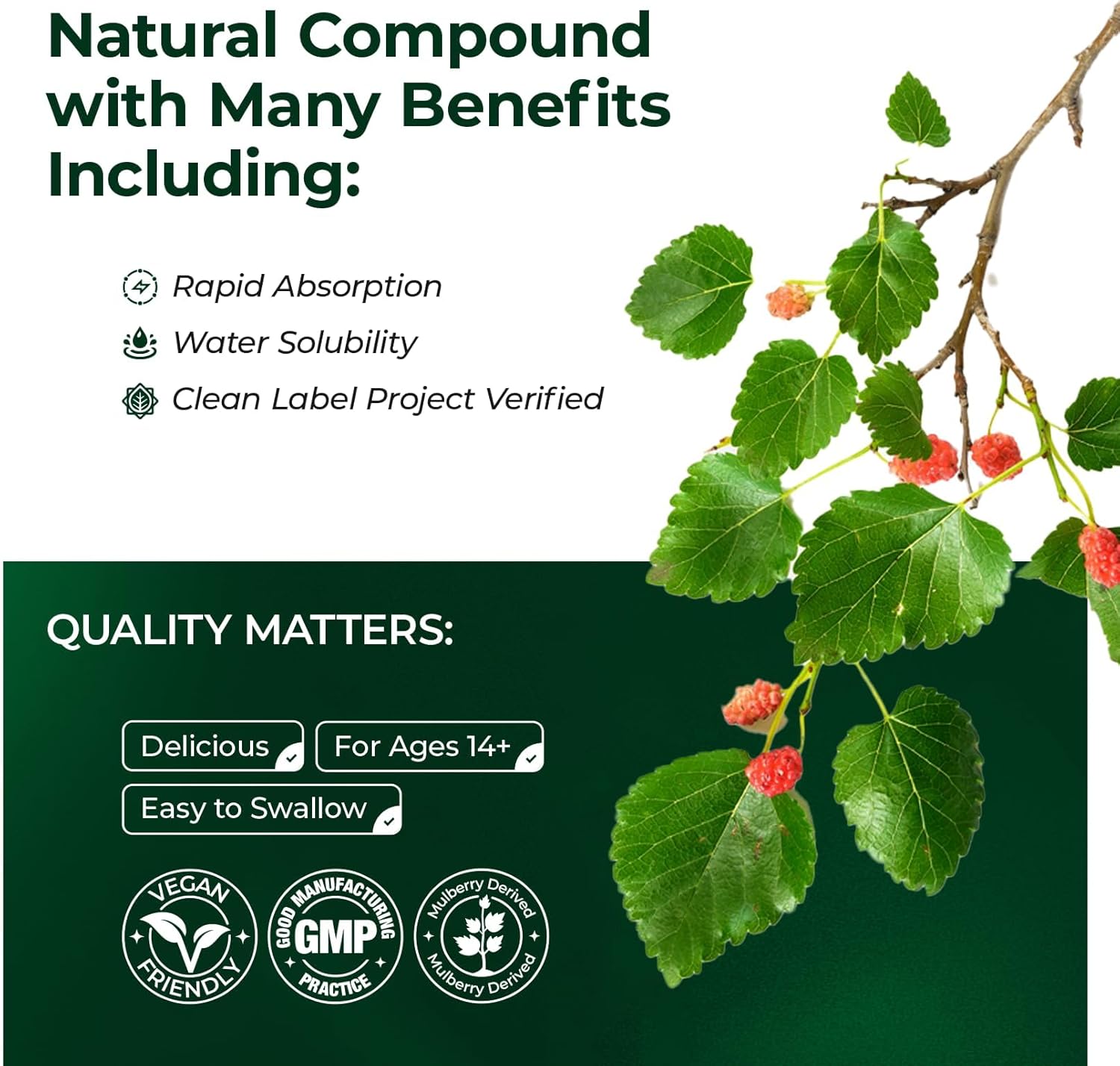 Premium VOLTZAP Chlorophyll Liquid Drops for Immune Support, Energy Boost, Digestive Health - Natural Mint Flavor Vegan Supplement 2fl.oz - Non-GMO & Gluten-Free