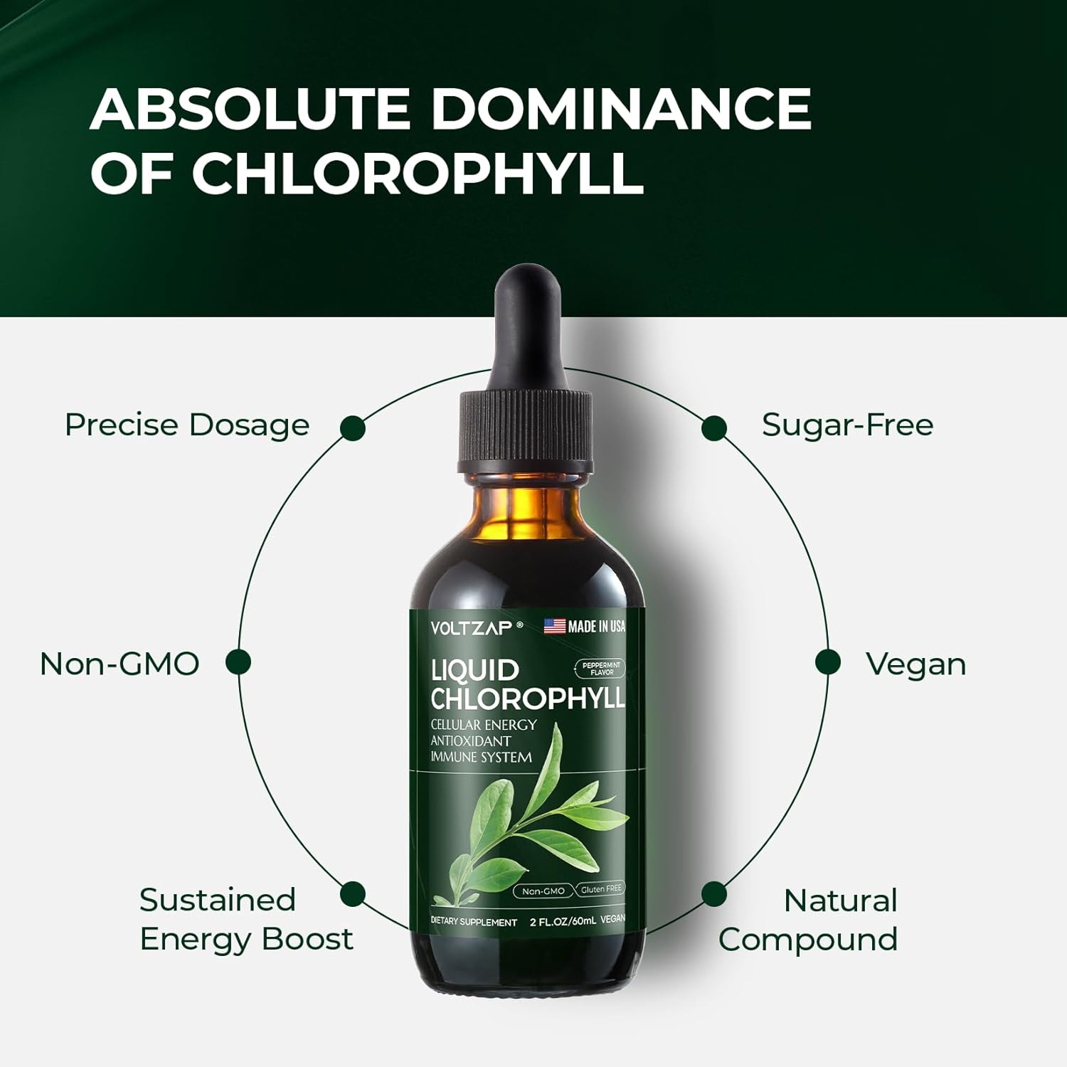 Premium VOLTZAP Chlorophyll Liquid Drops for Immune, Energy, Digestive, Gut & Skin Health - Vegan Mint Flavored 2fl.oz