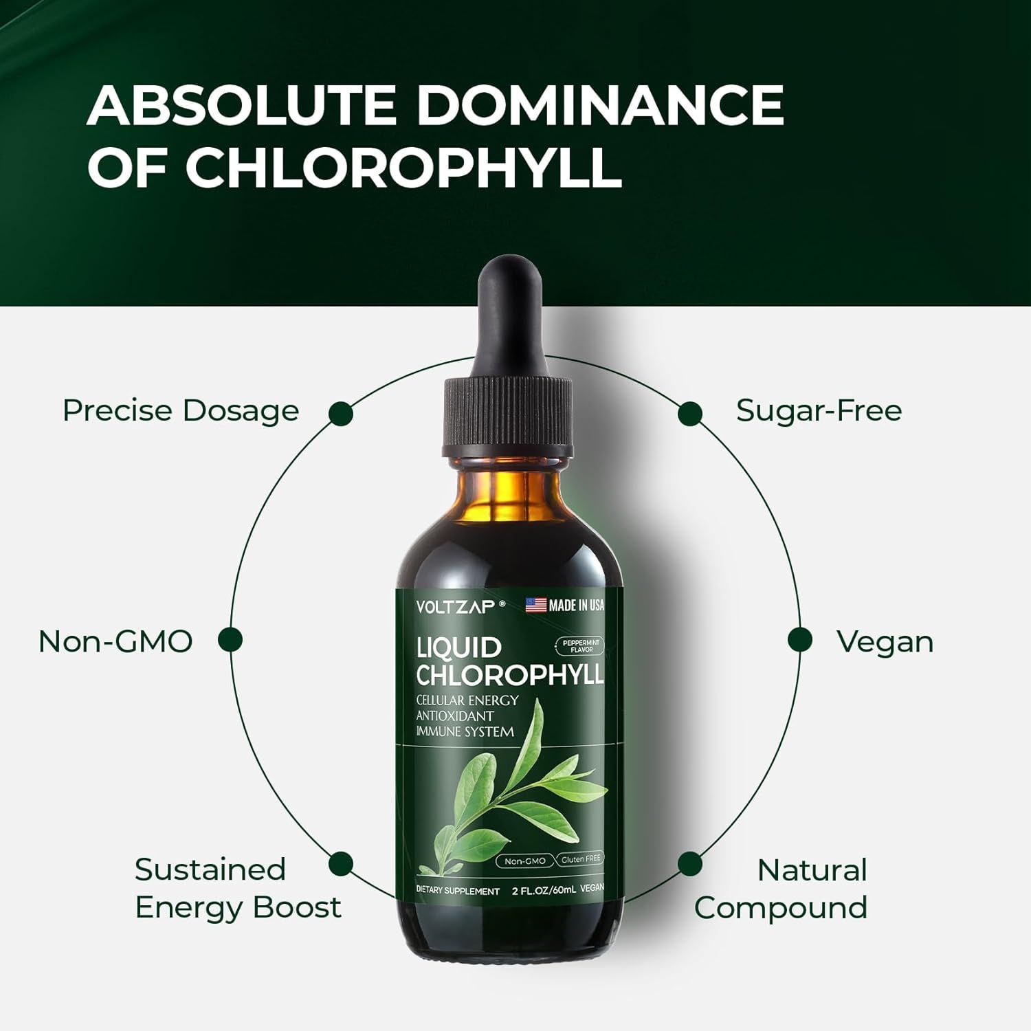 Premium VOLTZAP Chlorophyll Liquid Drops for Immune Support, Energy Boost, Digestive Health - Natural Mint Flavor Vegan Supplement 2fl.oz - Non-GMO & Gluten-Free