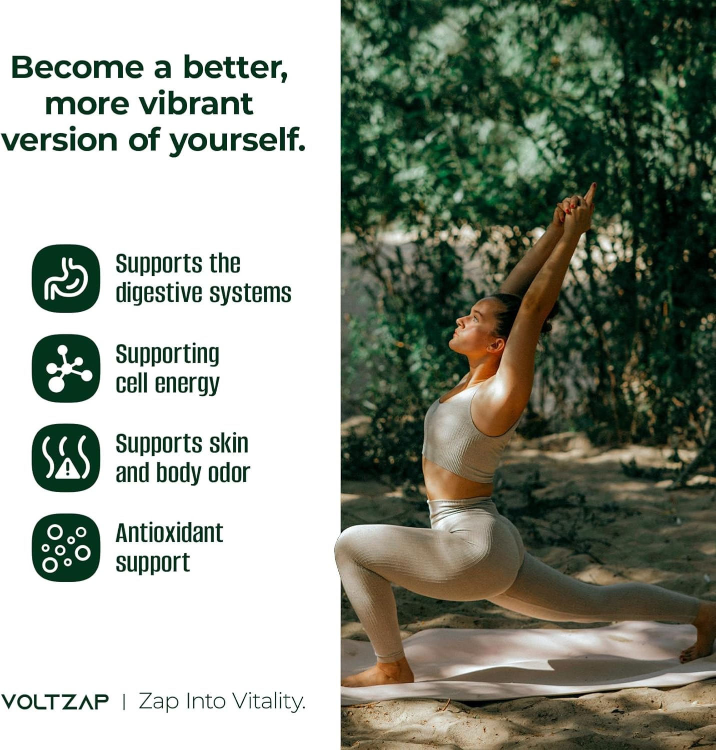 Premium VOLTZAP Chlorophyll Liquid Drops for Immune Support, Energy Boost, Digestive Health - Natural Mint Flavor Vegan Supplement 2fl.oz - Non-GMO & Gluten-Free