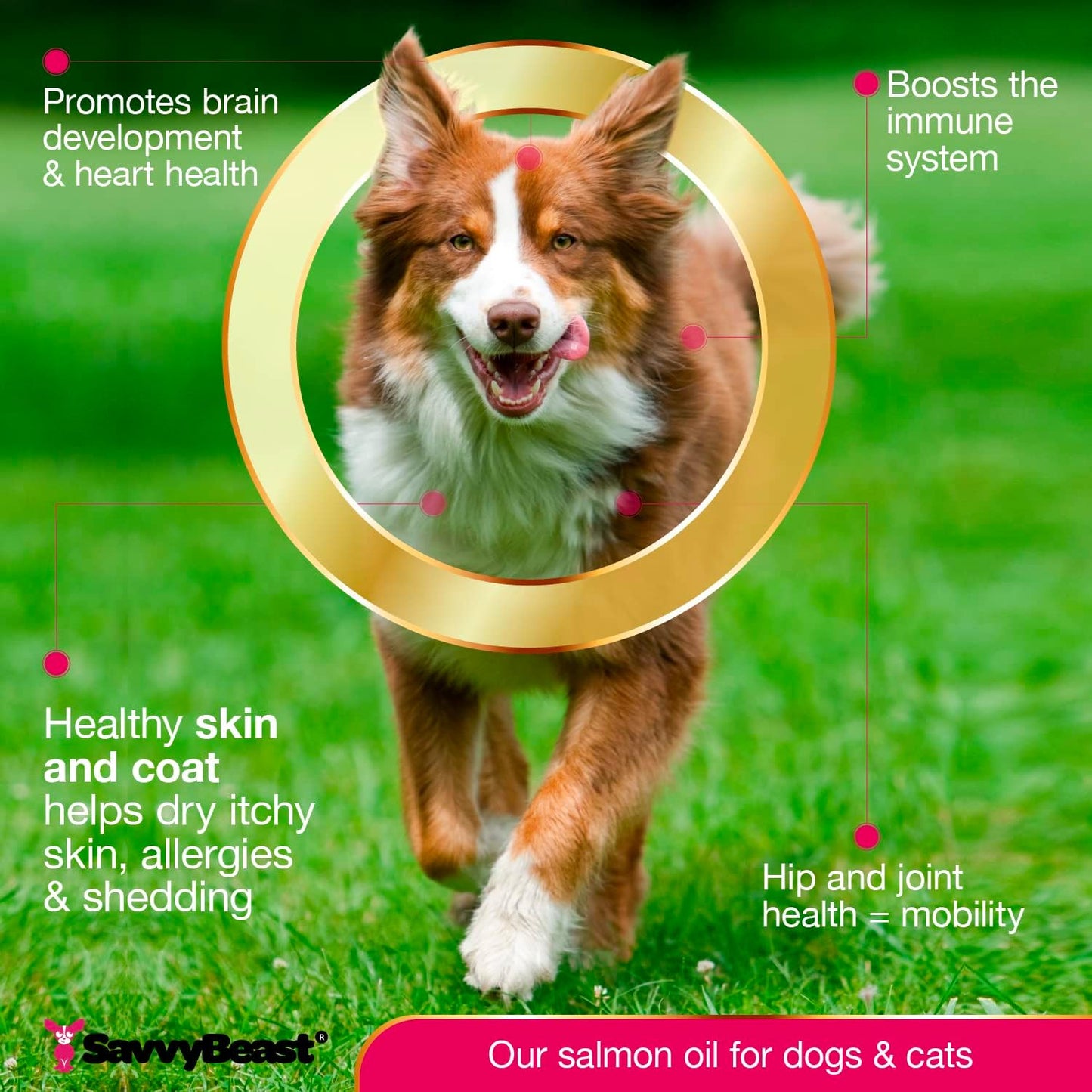 Premium Wild Alaskan Salmon Oil for Pets: Unscented Skin & Coat Supplement with Omega-3 Vitamins - Liquid Fish Allergy Relief Pump - Ideal for Dogs, Cats, and Ferrets - Kitten Supplies & Accessories