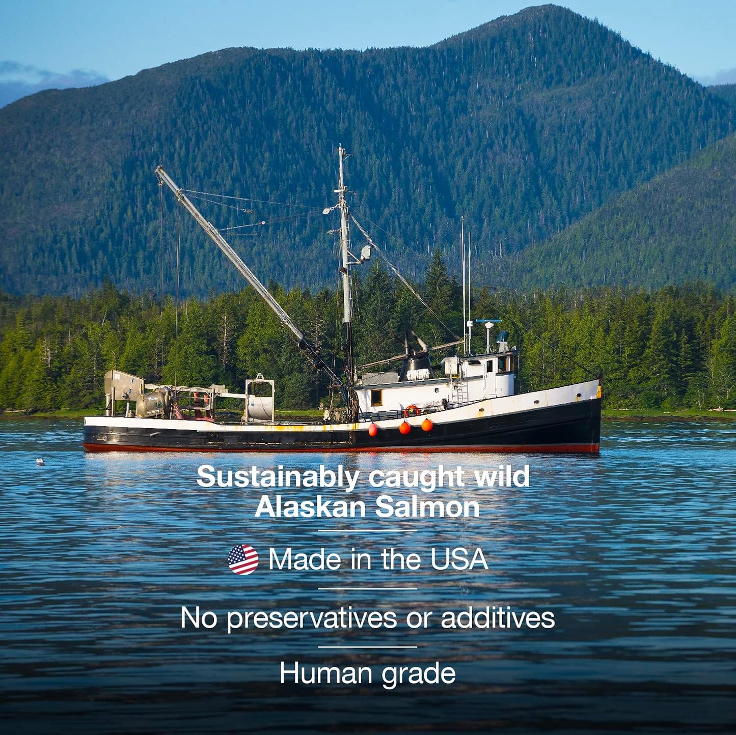 Premium Wild Alaskan Salmon Oil for Pets: Unscented Skin & Coat Supplement with Omega-3 Vitamins - Liquid Fish Allergy Relief Pump - Ideal for Dogs, Cats, and Ferrets - Kitten Supplies & Accessories