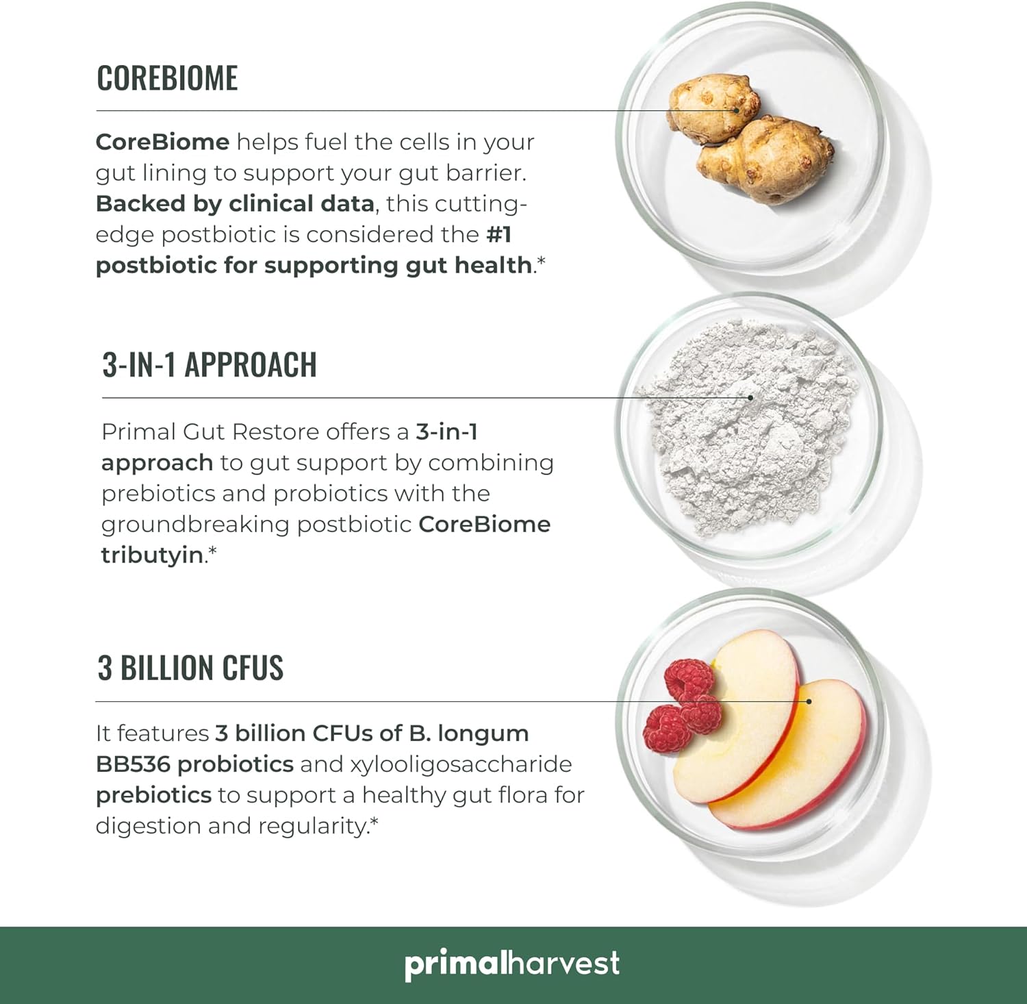 Primal Harvest Gut Restore 2-Pack - Gut Health Support with POSTbiotics, PREbiotics, and PRObiotics for Men and Women - Digestion and Colon Cleanse - 60 CT