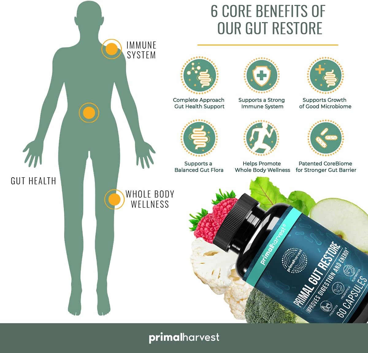 Primal Harvest Gut Restore & Multivitamin Bundle for Women and Men - Multi Vitamin Capsules and Colon Cleanse Pills