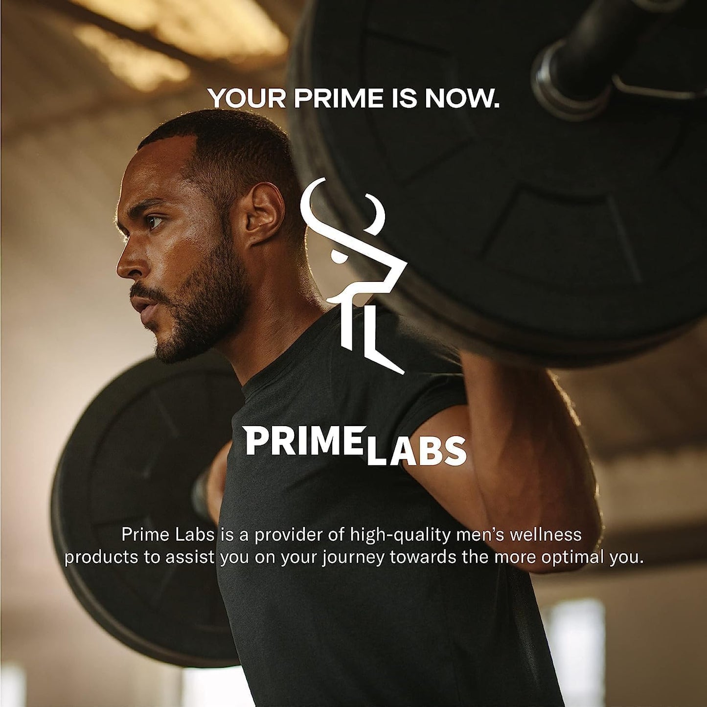 Prime Labs Concrete Creatine HCl Capsules with CON-CRĒT®, Rhodiola Root Extract, L-Theanine - Muscle Support, Endurance, Cognitive Function - 60 Count - Men & Women - BoostGo Australia