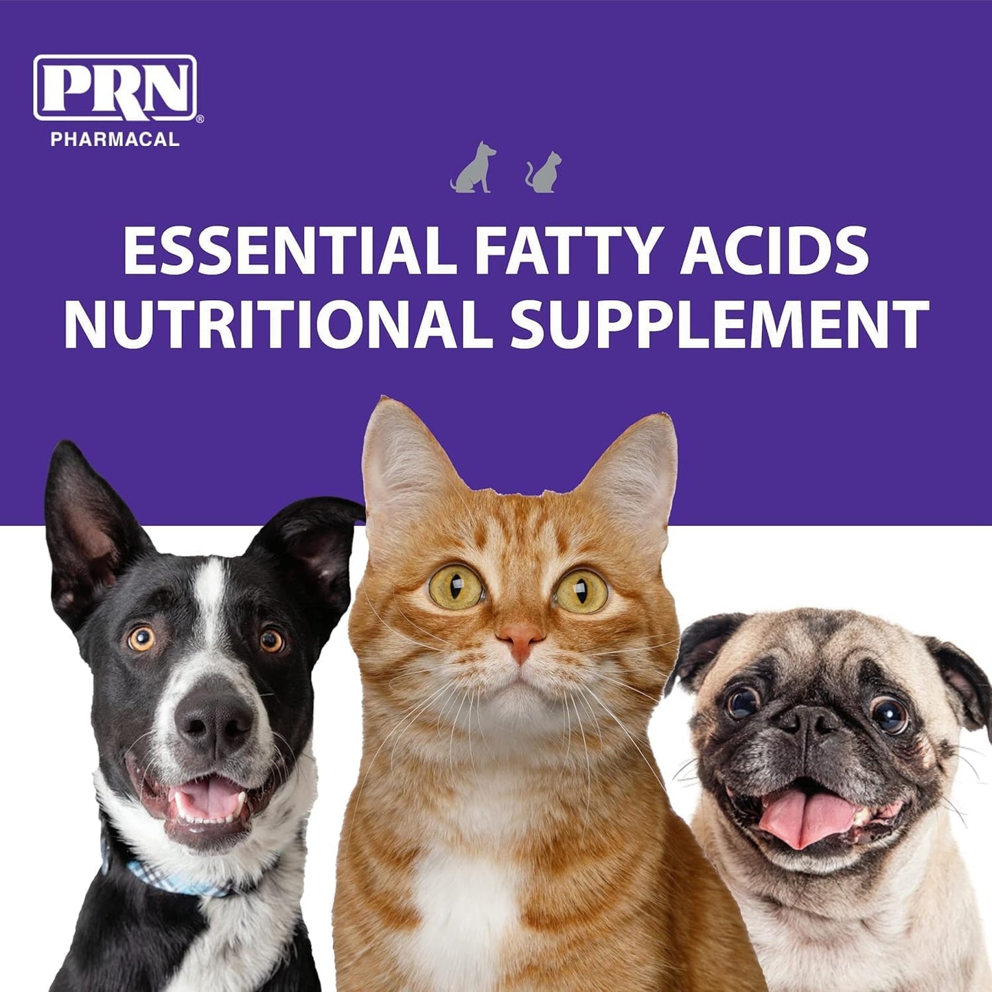 PRN Pharmacal OPTIMA 365 Essential Fatty Acids Supplement for Cats & Dogs - Omega-3, 6, 9 - 16 Fl Oz