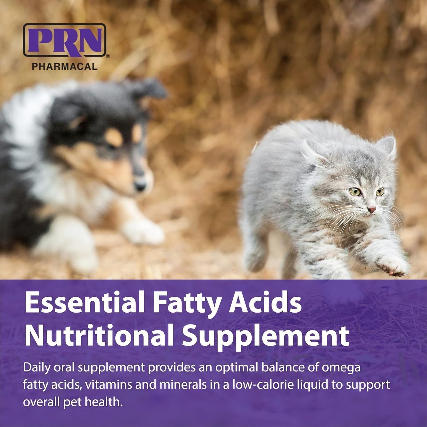 PRN Pharmacal OPTIMA 365 Essential Fatty Acids Supplement for Cats & Dogs - Omega-3, 6, 9 - 16 Fl Oz