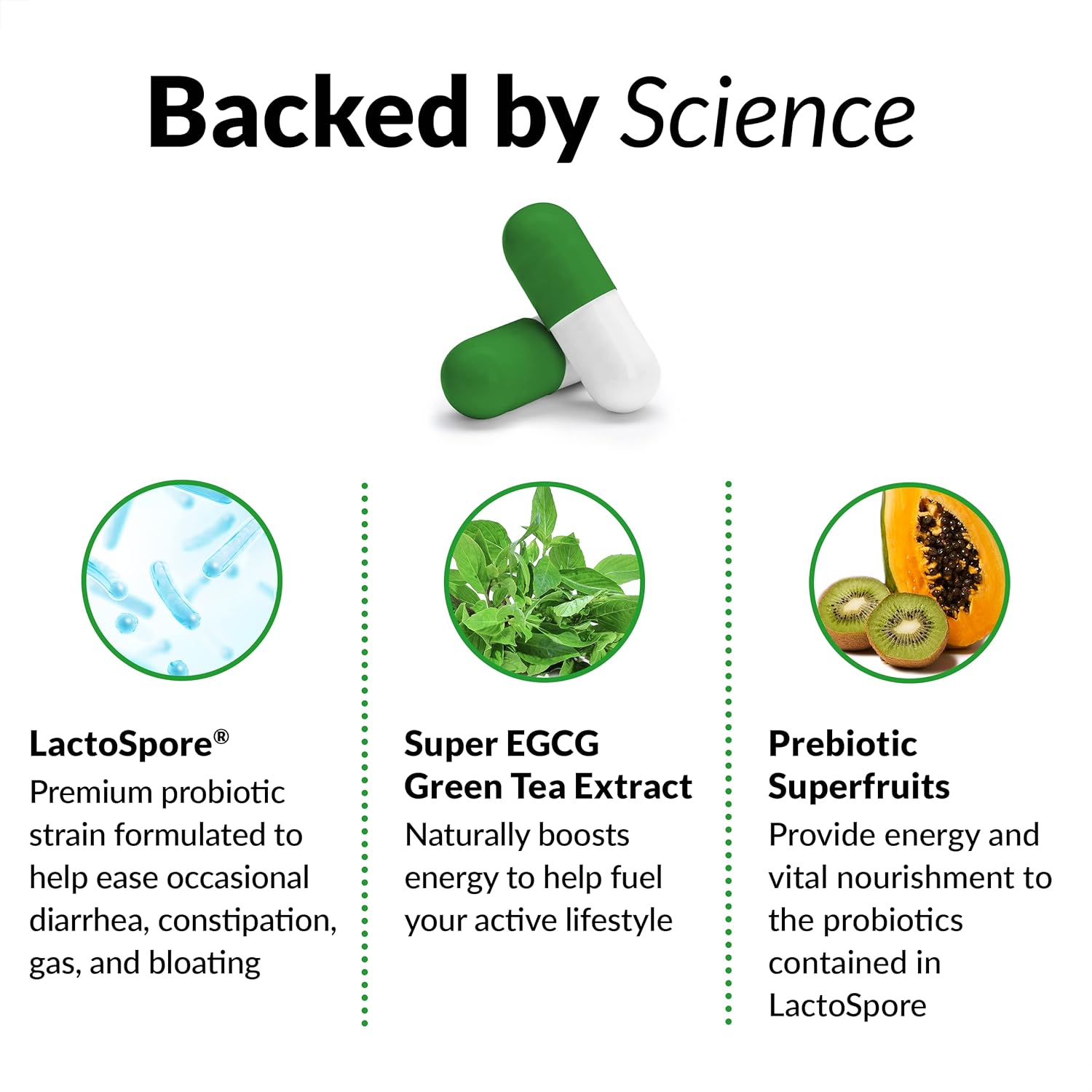 ProbioSlim Probiotic Supplement with Green Tea Extract, 30 Count (Pack of 3) - Support Digestive Health for Men and Women, Reduce Gas, Bloating, Constipation - Probiotics for Gut Health.