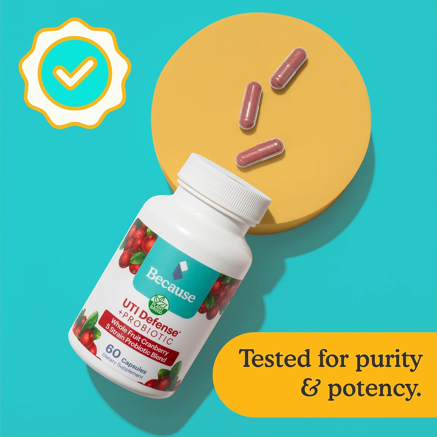 Probiotic Cranberry UTI Defense Capsules for Women - 60 Capsules, 1 Bottle
