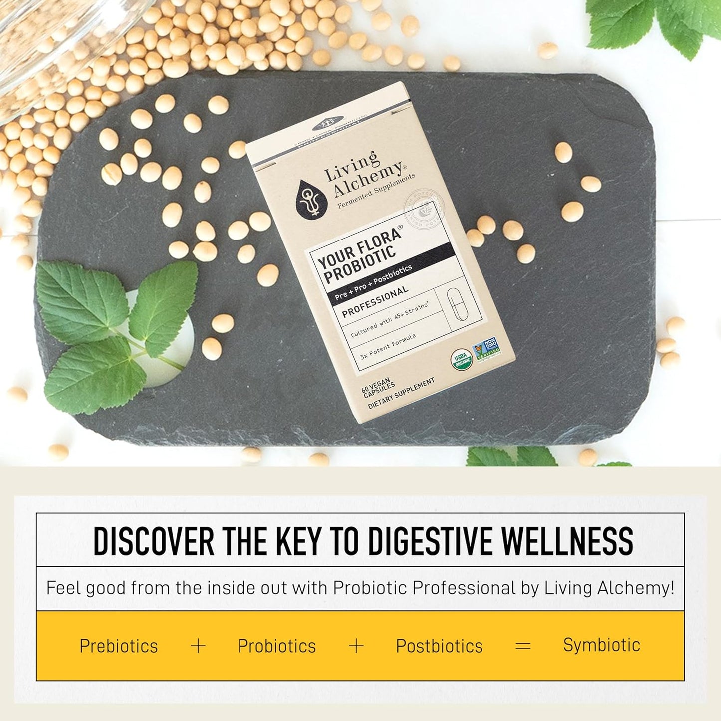 Probiotic Digestion Supplement for Gut Health - Living Alchemy Your Flora Professional with Fermented Soybean, Prebiotics, Enzymes - Vegan, Non-GMO (60 Capsules)