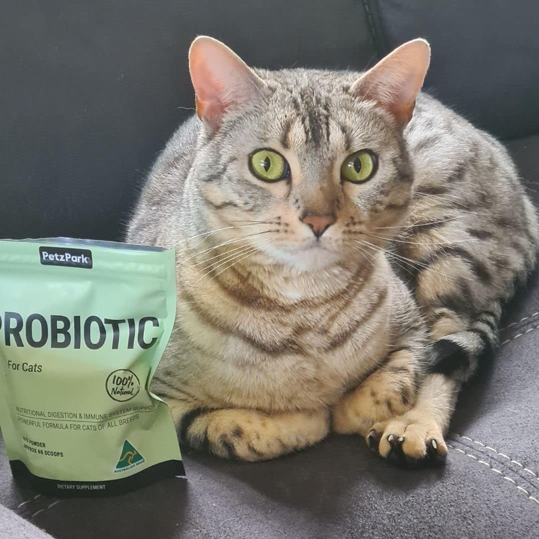 Probiotic Powder for Cats & Kittens - Hairball Prevention, Digestive & Immune Support - Indoor Cat Formula - 60 Scoops