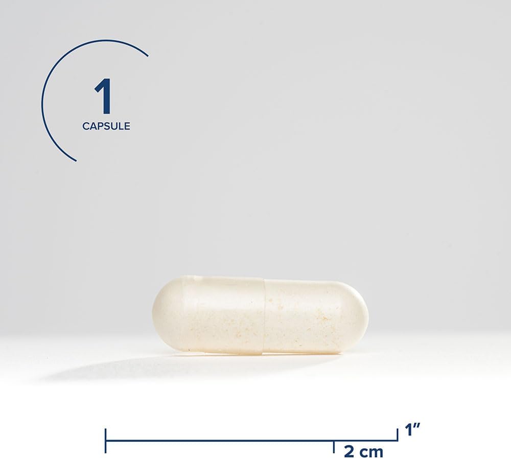 Probiotic Supplement for Digestive Health - Seeking Health ProBiota Bifidobacterium, 60 Capsules, Vegan and Vegetarian-Friendly, Supports Colon Health and Immune System