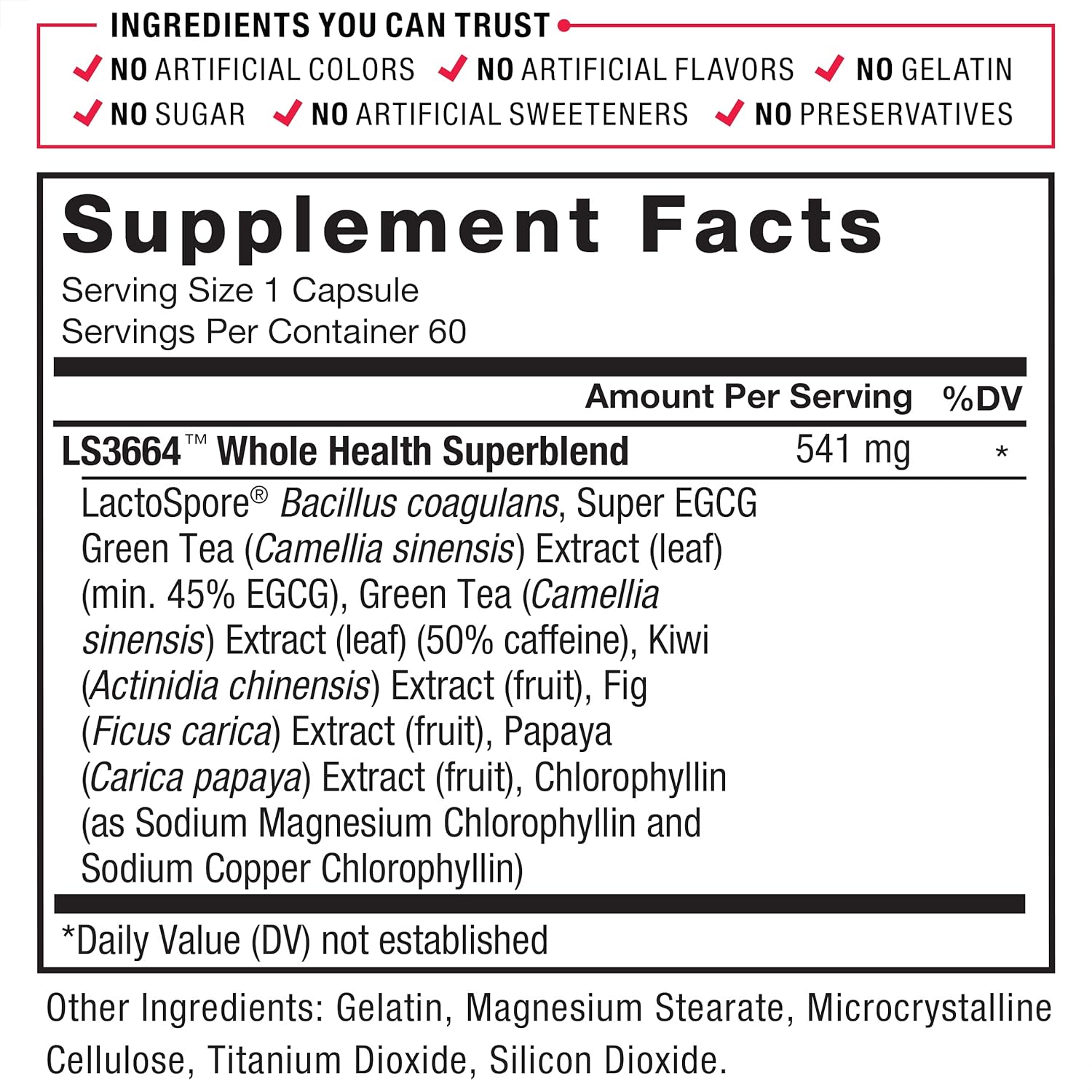 Probiotic Supplement for Digestive Health & Gut Health - 180 Capsules (3-Pack) - Reduce Gas, Bloating, Constipation - Men & Women - Probiotics & Green Tea Extract included