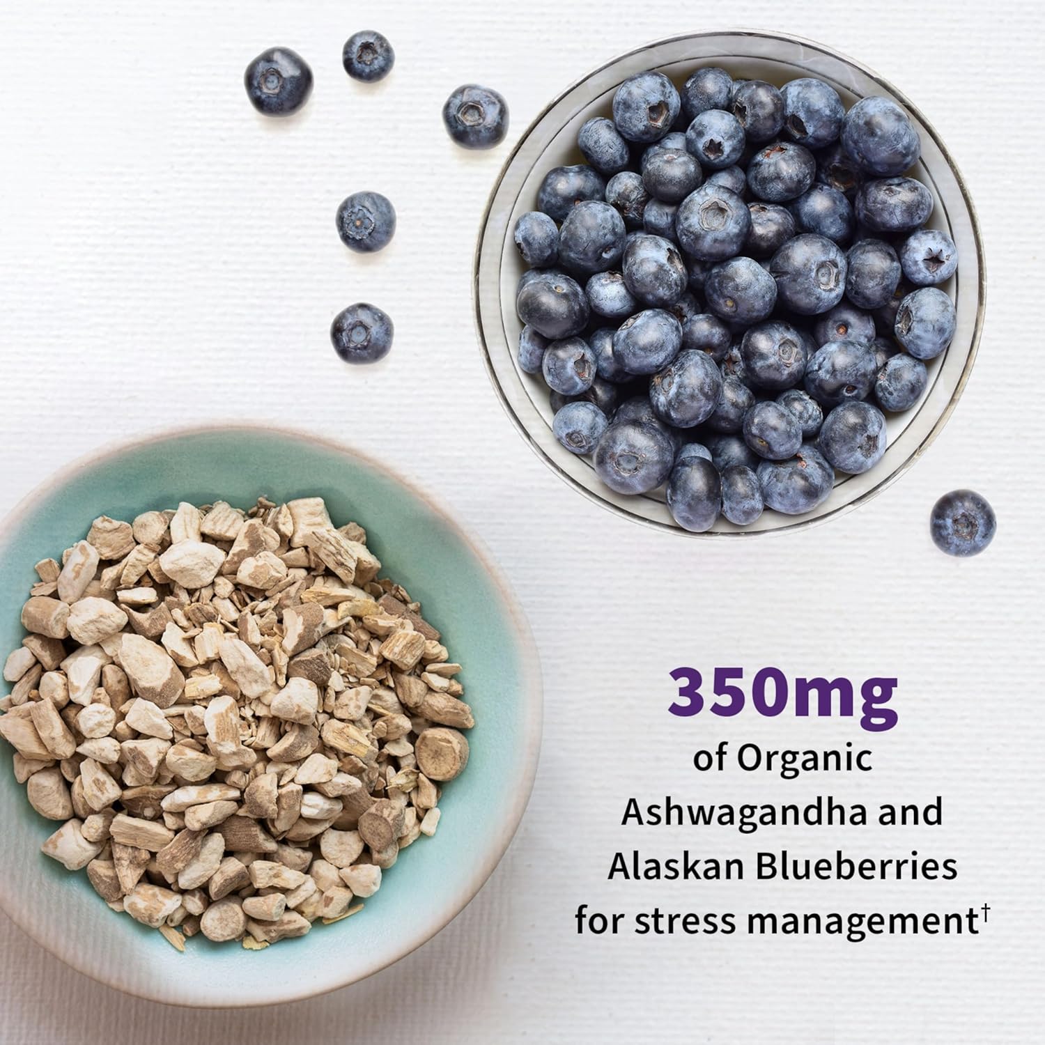 Probiotic Supplement for Relaxation and Digestive Balance with Ashwagandha - 60 Vegetarian Capsules by Garden of Life