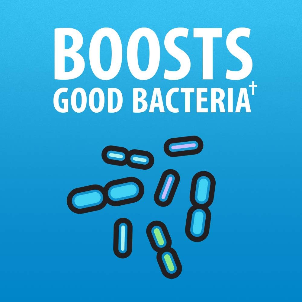 Probiotic Supplement for Women and Men, Supports Gut Health with Antibiotics, 40 Capsules Total
