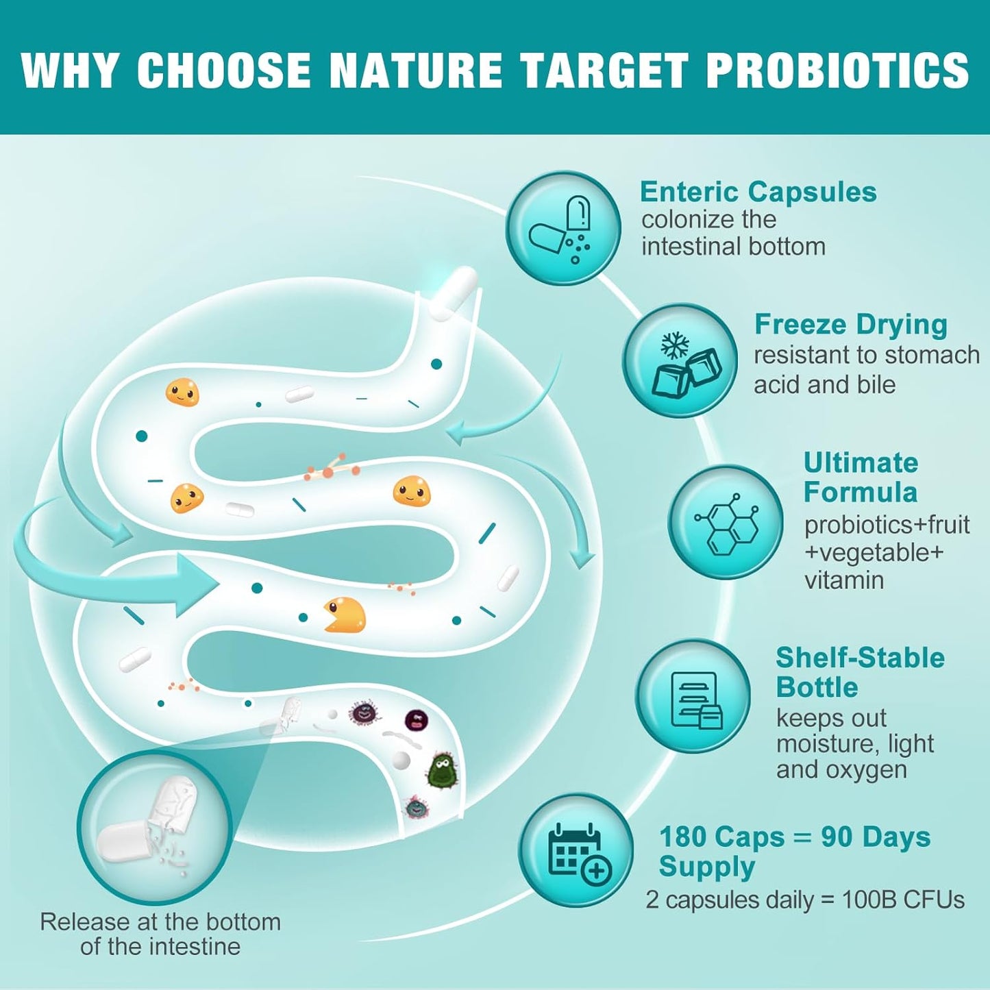 Probiotic with Prebiotics for Digestive Health, 100 Billion CFUs, 180 Veggie Capsules, Men's and Women's Gut Health Supplement