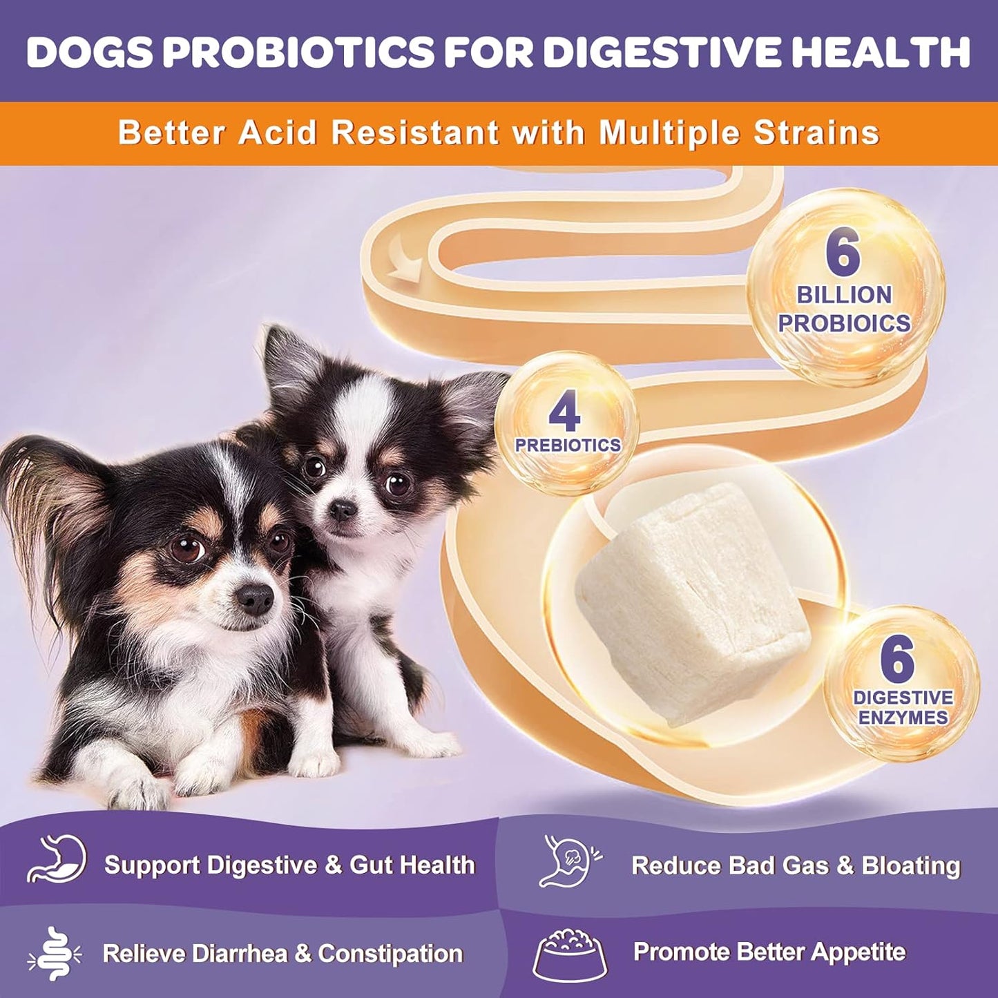 Probiotics and Omega 3 Fish Oil for Dogs - Nourishing Supplements for Canine Health