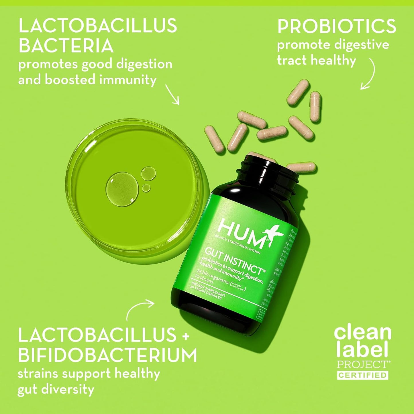 Probiotics for Digestive Health - Daily Gut Support for Men and Women with Lactobacillus and Bifidobacterium Strains - 90 Count