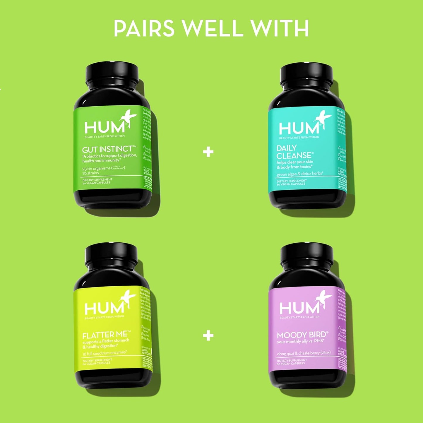 Probiotics for Digestive Health - Daily Gut Support for Men and Women with Lactobacillus and Bifidobacterium Strains - 90 Count