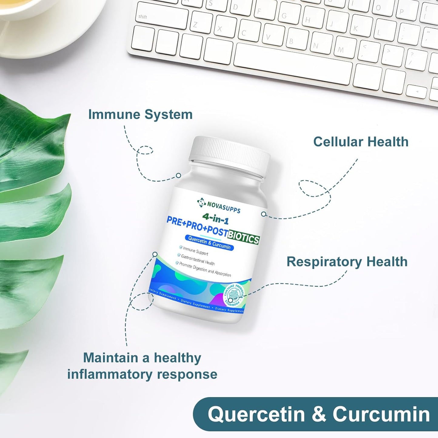 Probiotics for Gut Health & Immune Support - 35B CFUs, Prebiotics, Postbiotics, Quercetin & Curcumin - Men & Women Shelf Stable