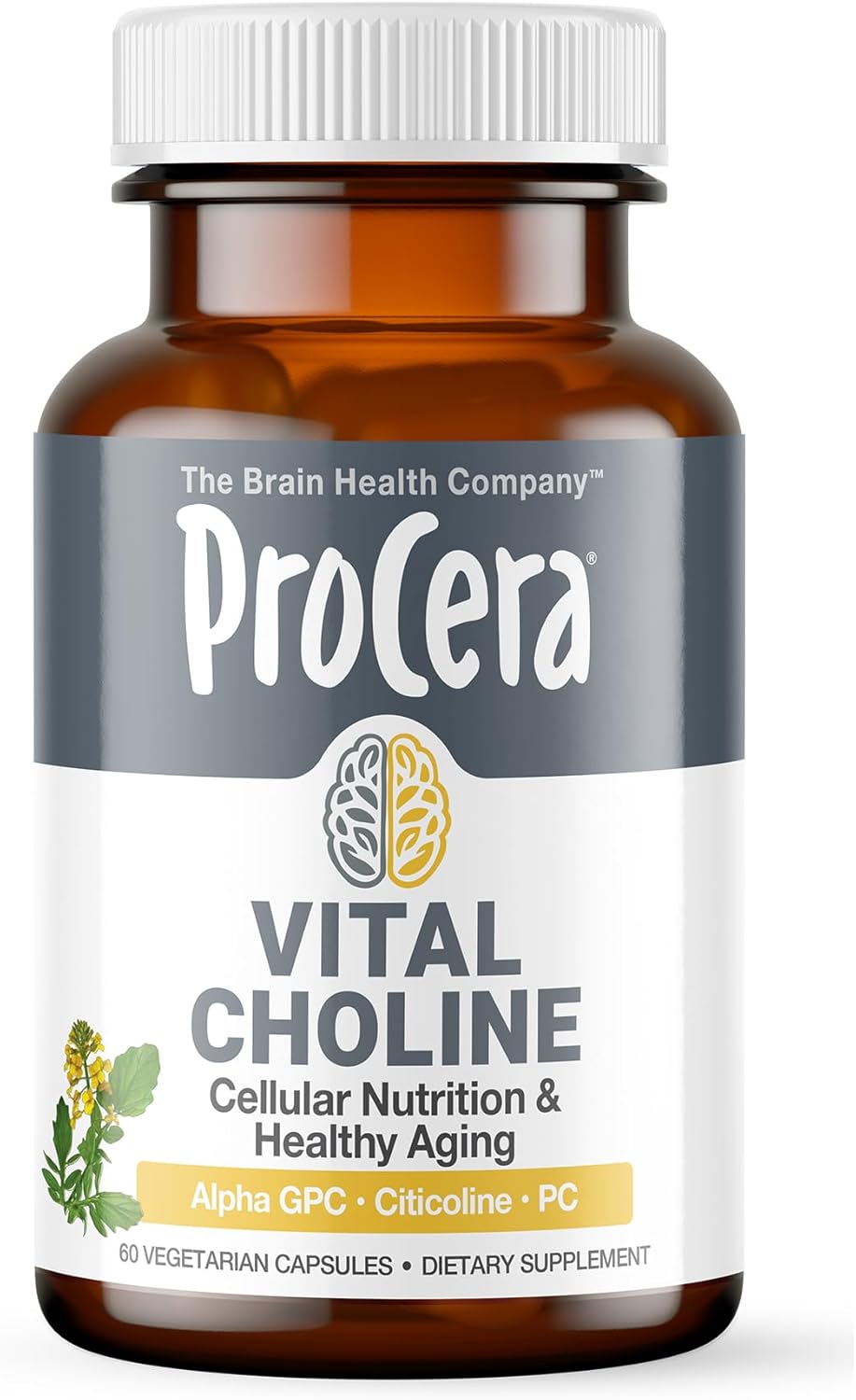 Procera Vital Choline Capsules for Memory, Mental Clarity, Brain Injury Healing, Cellular Regeneration - 60 Count