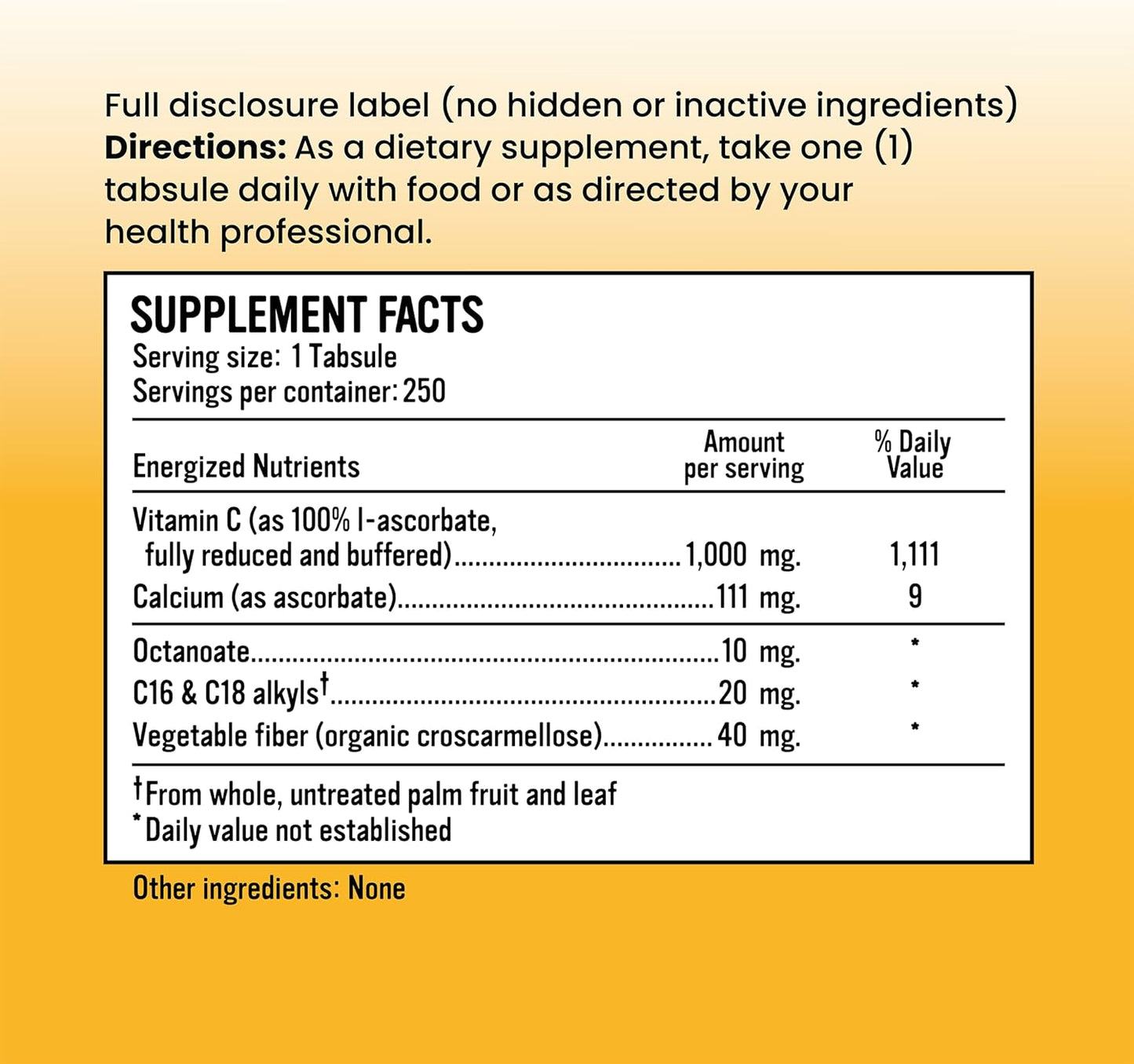 Professional Grade Alkalini-C Tabs with 1000 MG of Alkalizing Vitamin C - 250 Tabs, GMO-Free and Corn-Free