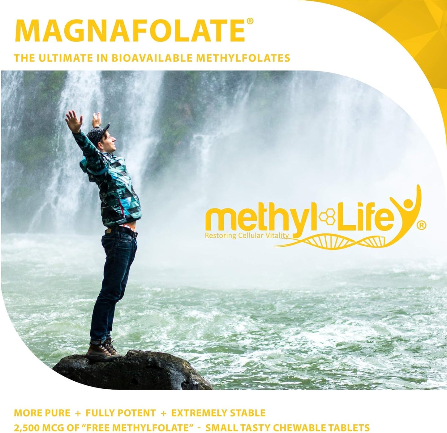 Professional Strength Methyl-Life L-Methylfolate Tablets - 2.5 mg, 90 Chewable Tablets, Natural Mint Flavor