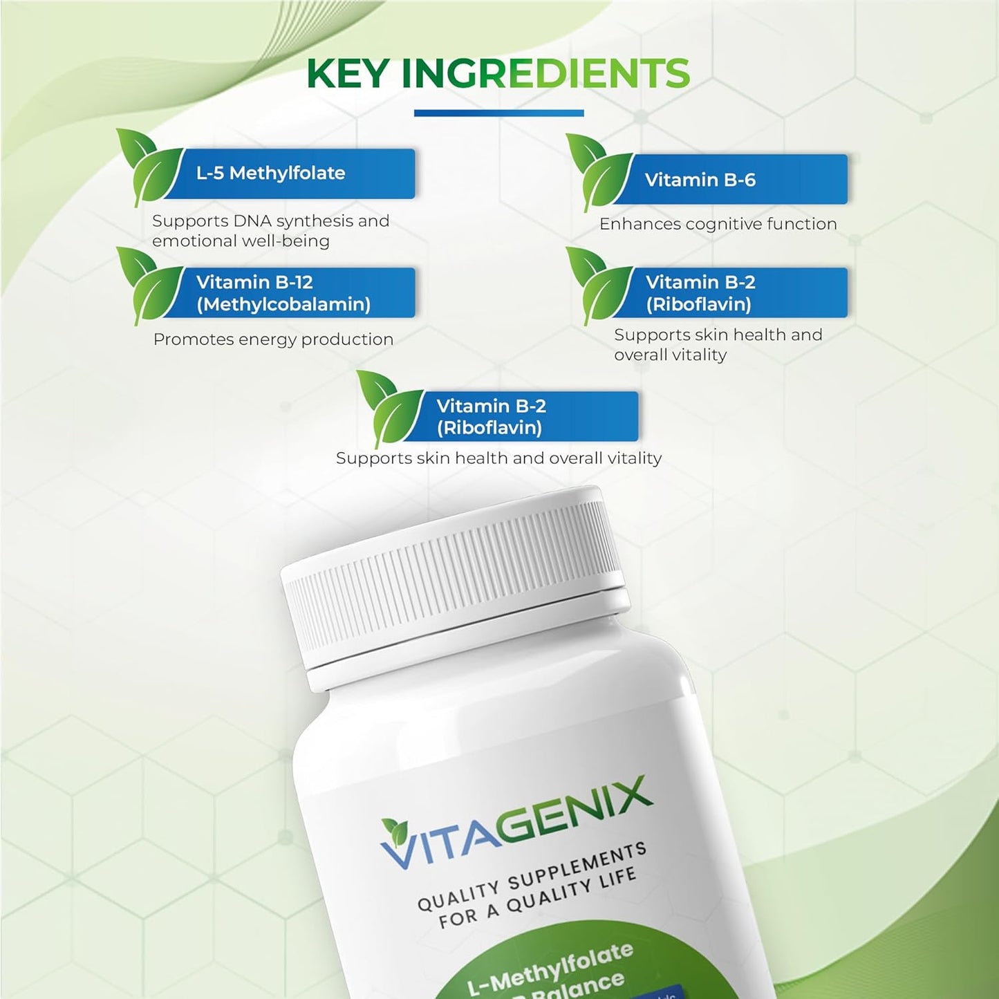 Professional Strength VITAGENIX L-Methylfolate + B Complex for Mood, Methylation & Cognition - Bioactive 5-MTHF Form with B6, B2, & B12 - 15mg - 60 Capsules