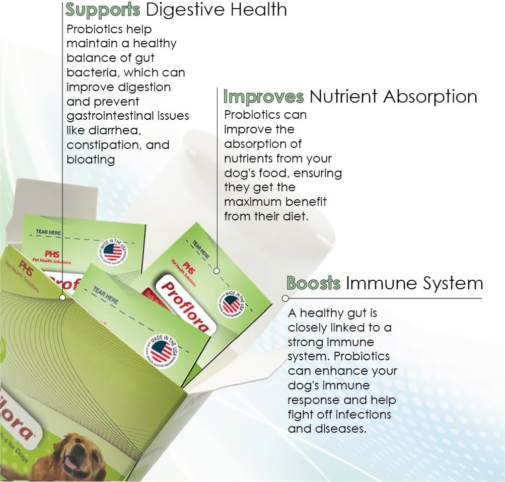 Proflora Probiotics for Dogs: Gut Health & Immune Support, Easy Digestive Care (30 Packets)