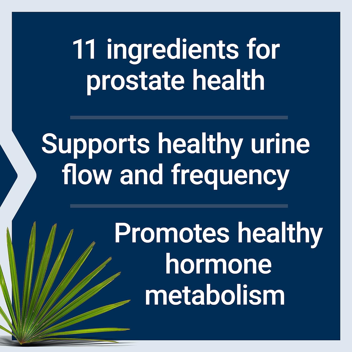 Prostate Support with Life Extension Ultra Formula and Zinc Capsules