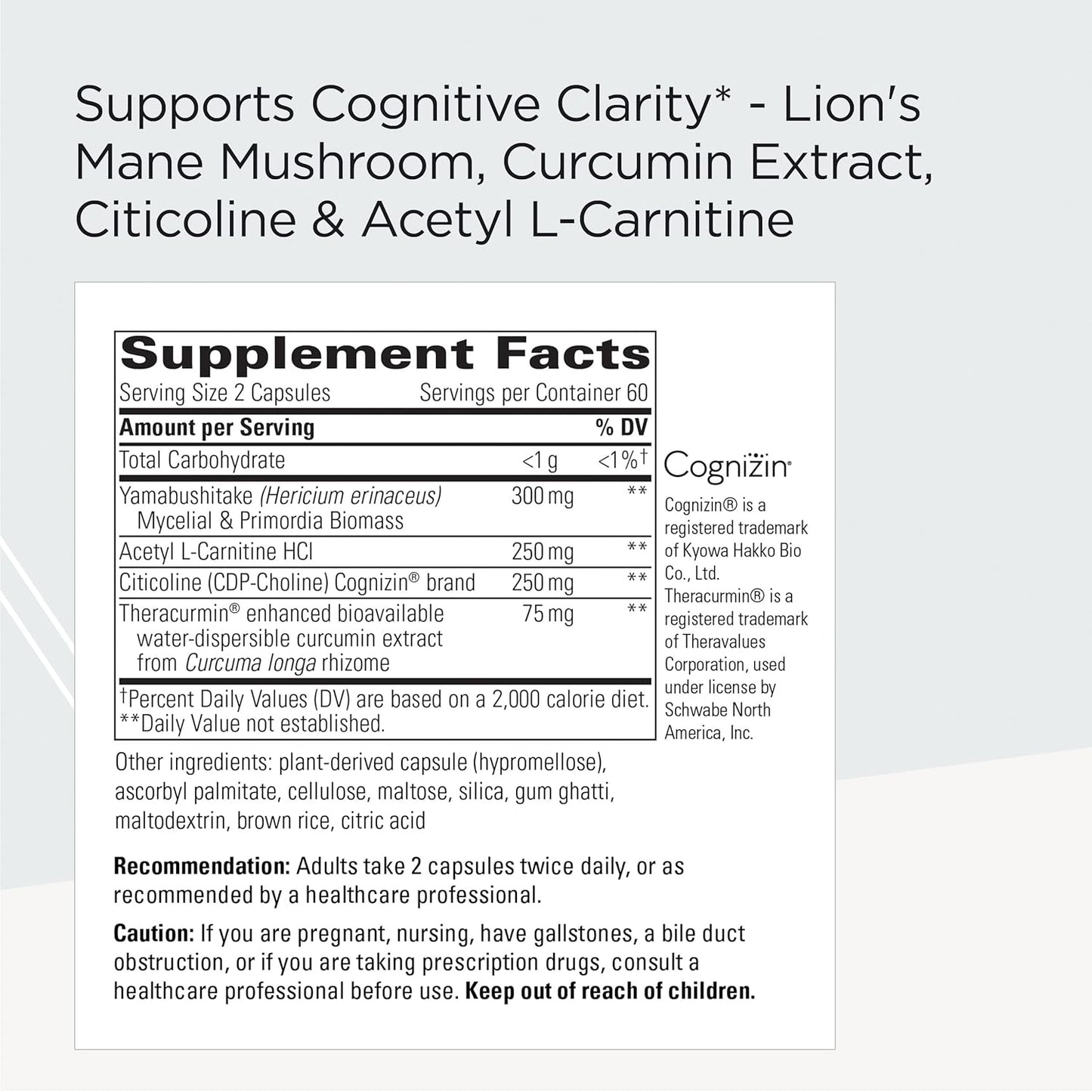 ProThrivers Wellness Brain Supplement - Supports Brain Health with Citicoline, Curcumin Extract & Lion's Mane - Vegan, Gluten-Free, Dairy-Free - 120 Capsules