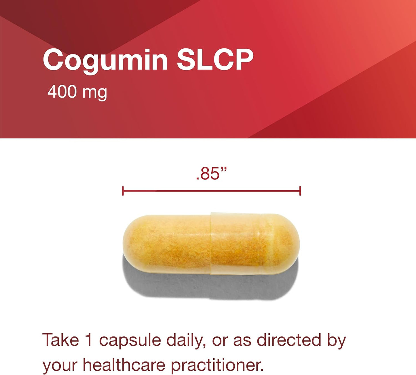 Protocol Cogumin SLCP 400mg Curcumin Capsules - Neurological & Cognitive Support Supplement - Vegan & Non-GMO - 50 Veg Capsules