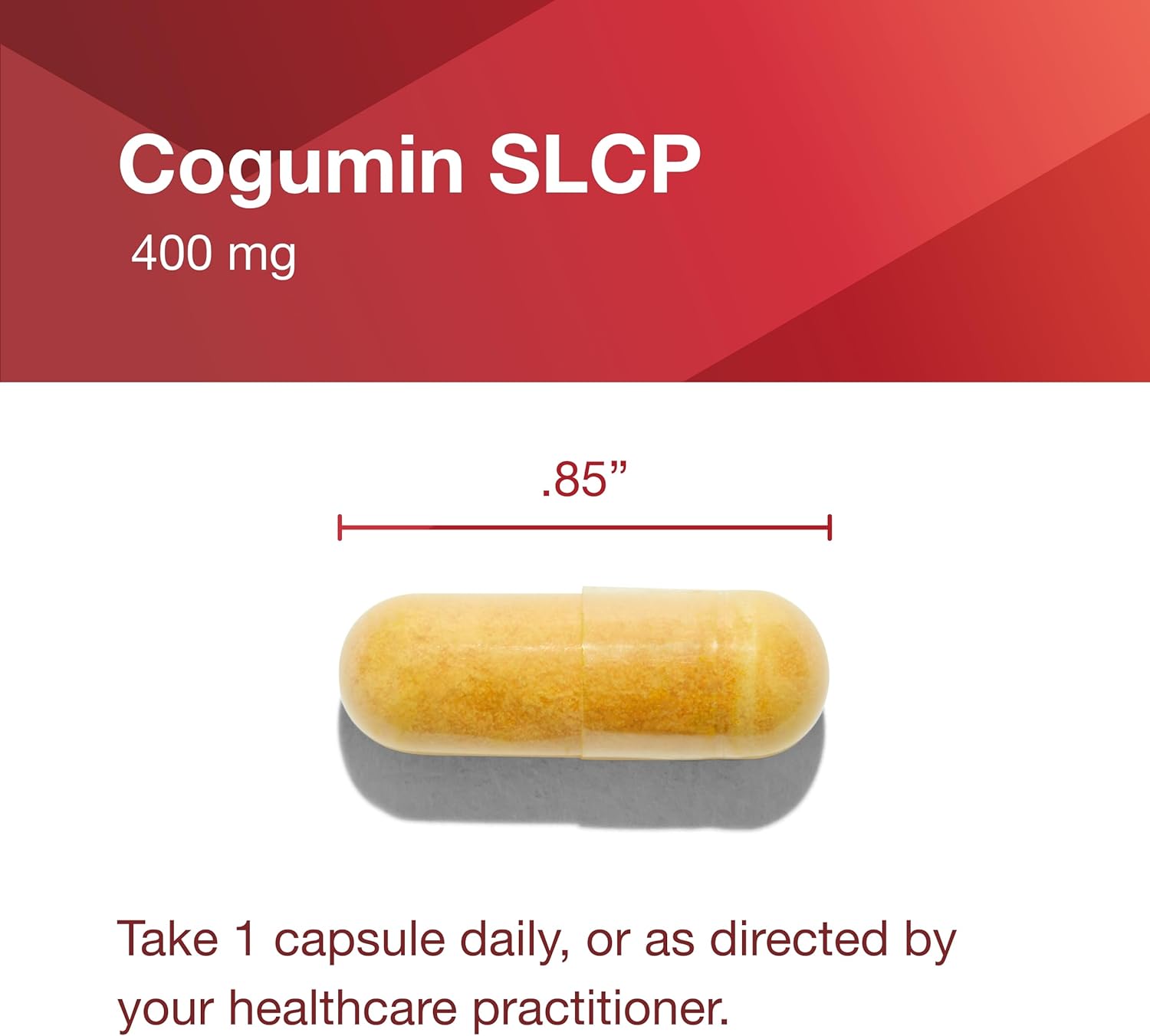 Protocol Cogumin SLCP 400mg Curcumin Capsules - Neurological & Cognitive Support Supplement - Vegan & Non-GMO - 50 Veg Capsules