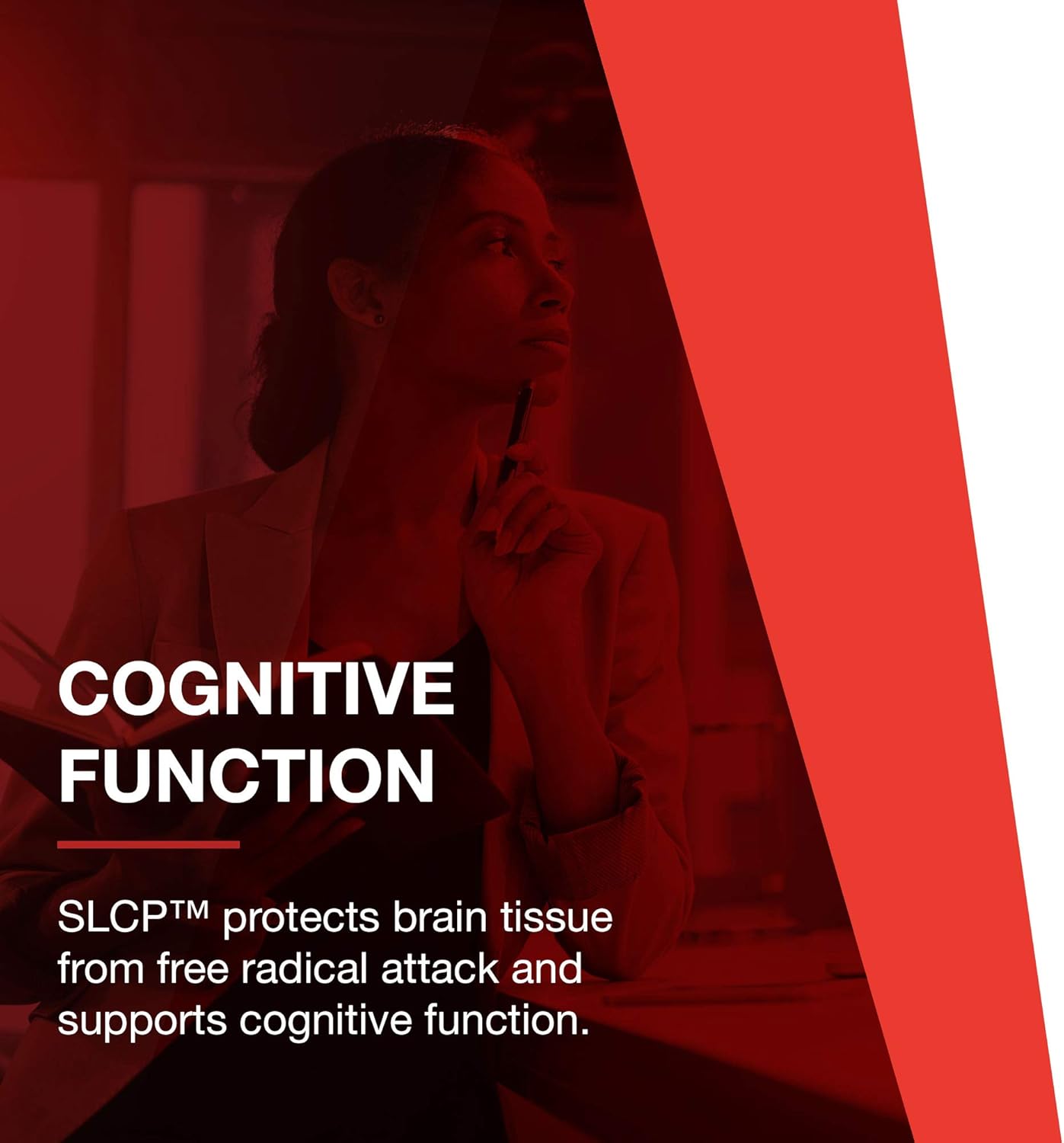 Protocol Cogumin SLCP 400mg Curcumin Capsules - Neurological & Cognitive Support Supplement - Vegan & Non-GMO - 50 Veg Capsules