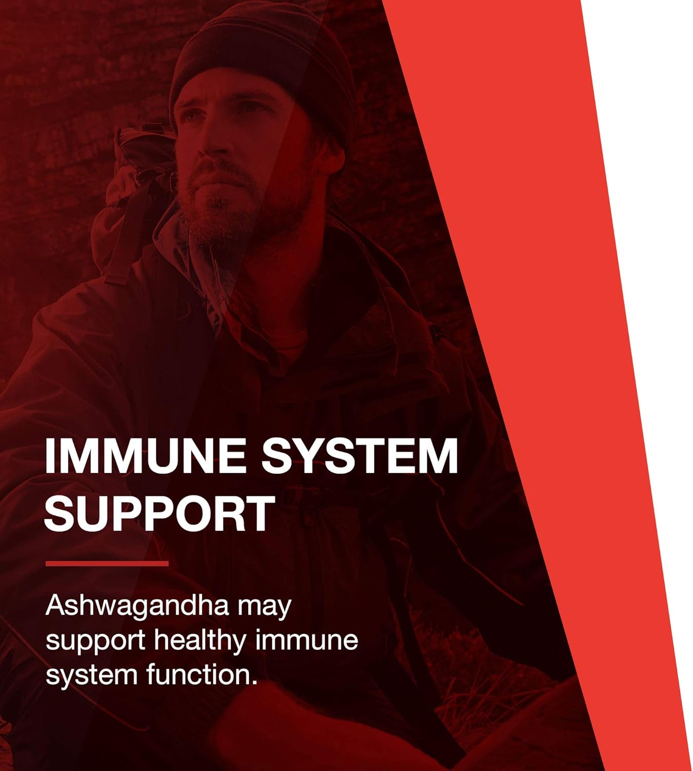 PROTOCOL FOR LIFE BALANCE Ashwagandha 450mg Capsules for Immune Support - Ayurvedic Adaptogen Supplement - 90 Veg Capsules