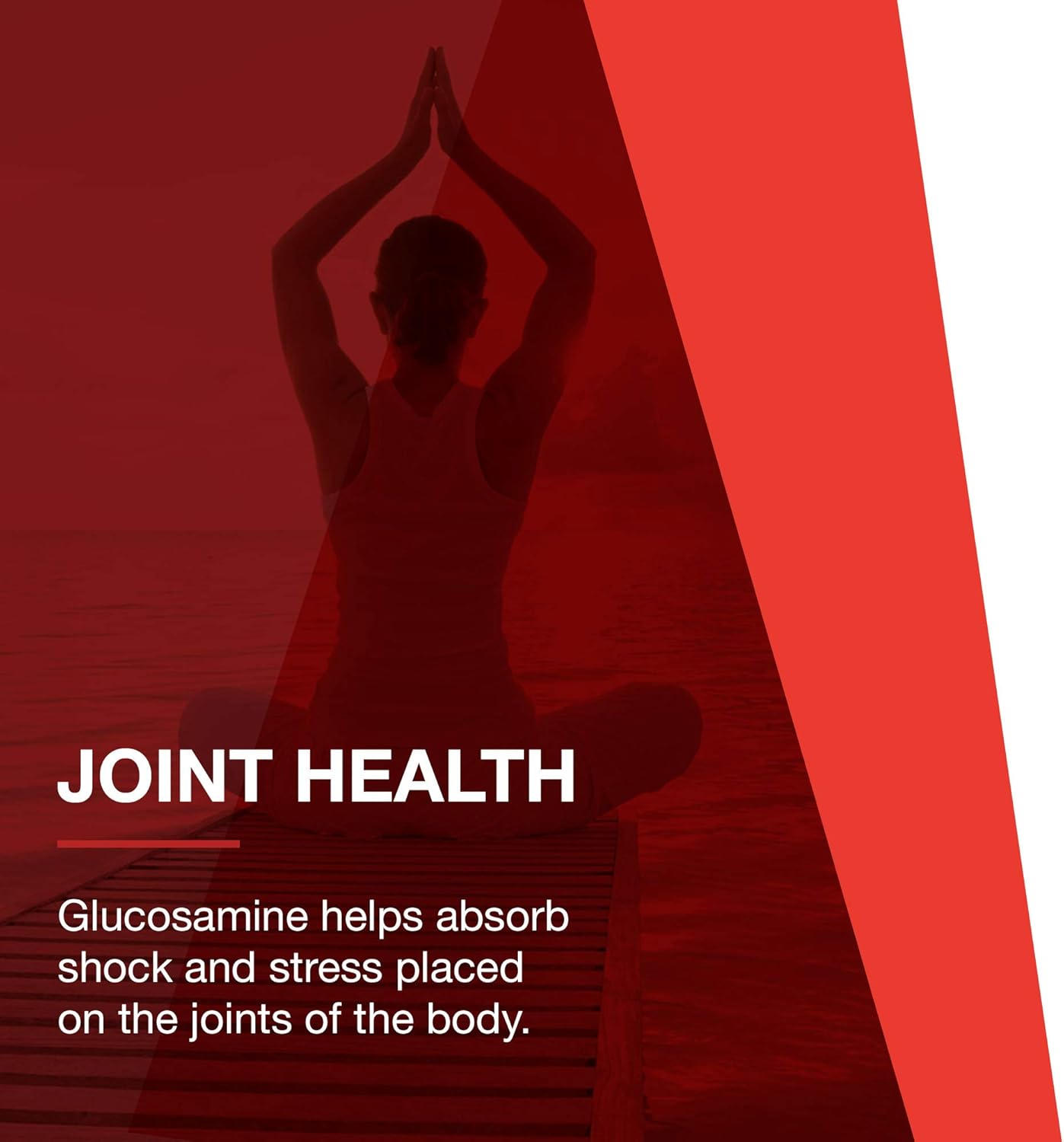 Protocol Glucosamine & Chondroitin with MSM - Joint Support Supplement - Non-GMO - 180 Veg Capsules