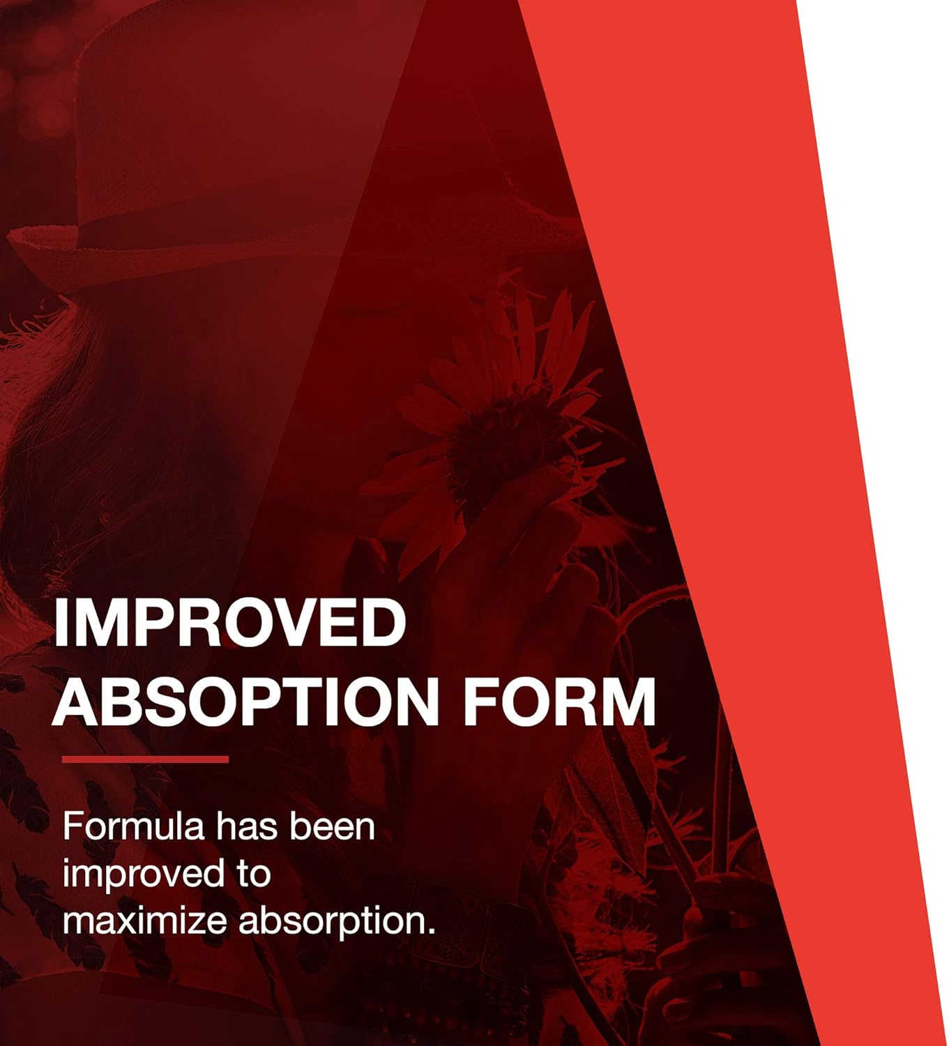 Protocol MSM Bioavailable Sulfur Capsules - 1,000mg - Enhances Joint Health, Hair, Skin & Nails - Vegan & Non-GMO - 180 Count