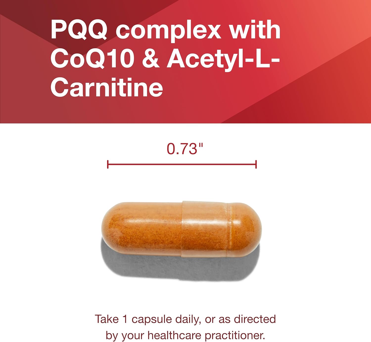 Protocol PQQ Complex with CoQ10, L Carnitine, B Vitamins - 30 Veg Capsules for Mitochondrial Health and Energy Support