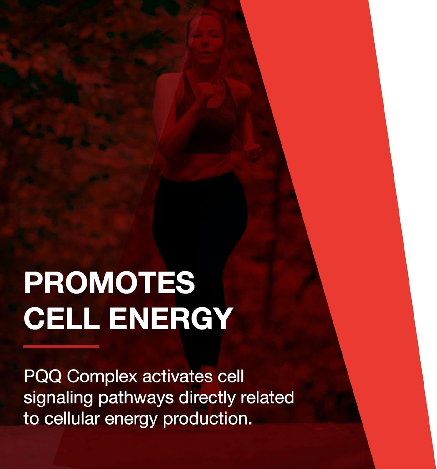 Protocol PQQ Complex with CoQ10, L Carnitine, B Vitamins - 30 Veg Capsules for Mitochondrial Health and Energy Support