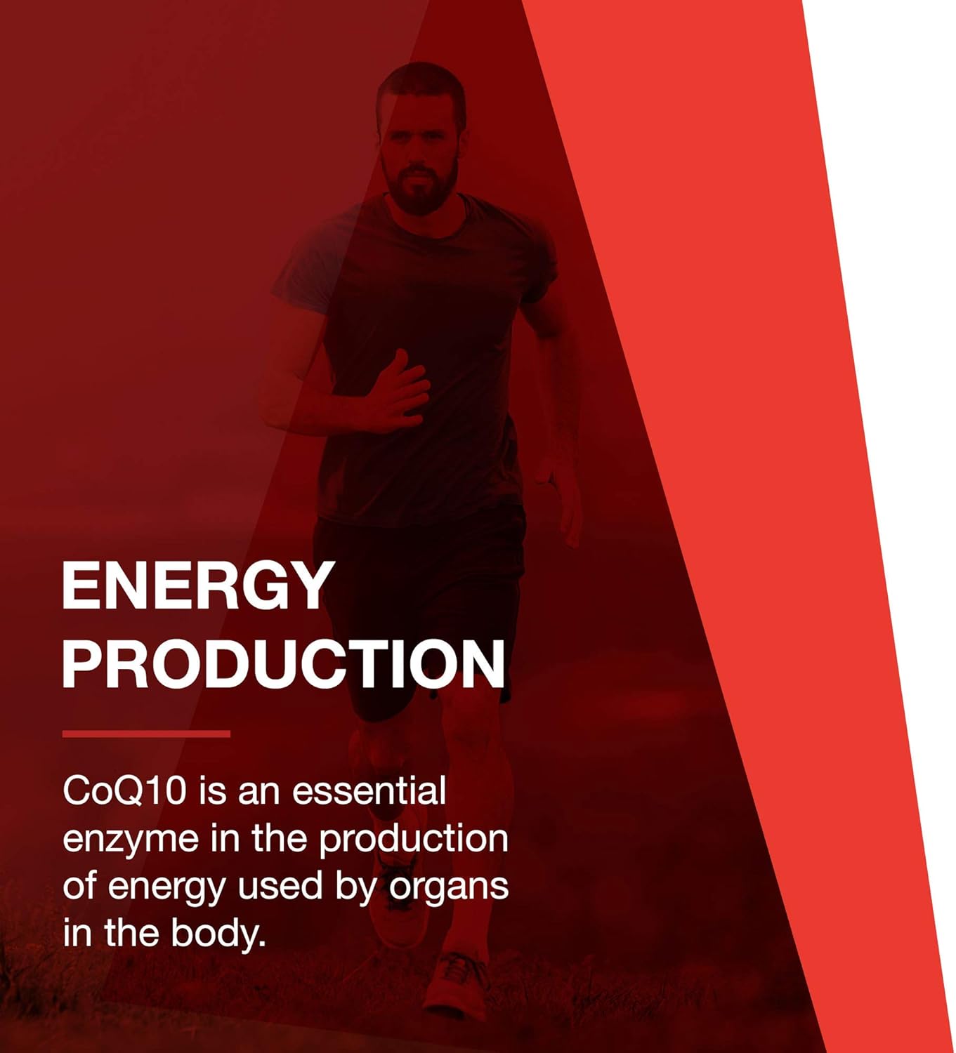 Protocol Ubiquinol 200mg Softgels - CoQ10 Heart Health Support - Antioxidant Formula - 60 Softgels