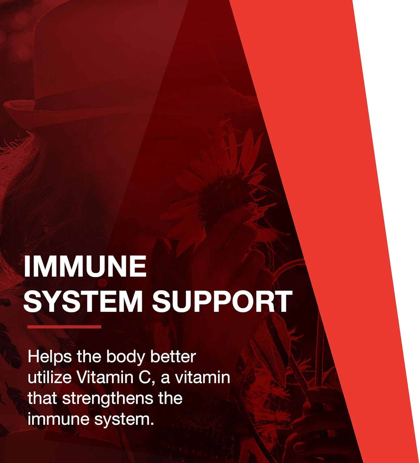 Protosorb C 500 Vitamin C Supplement with Alpha-Lipoic Acid for Immune and Bone Health - 100 Veg Capsules