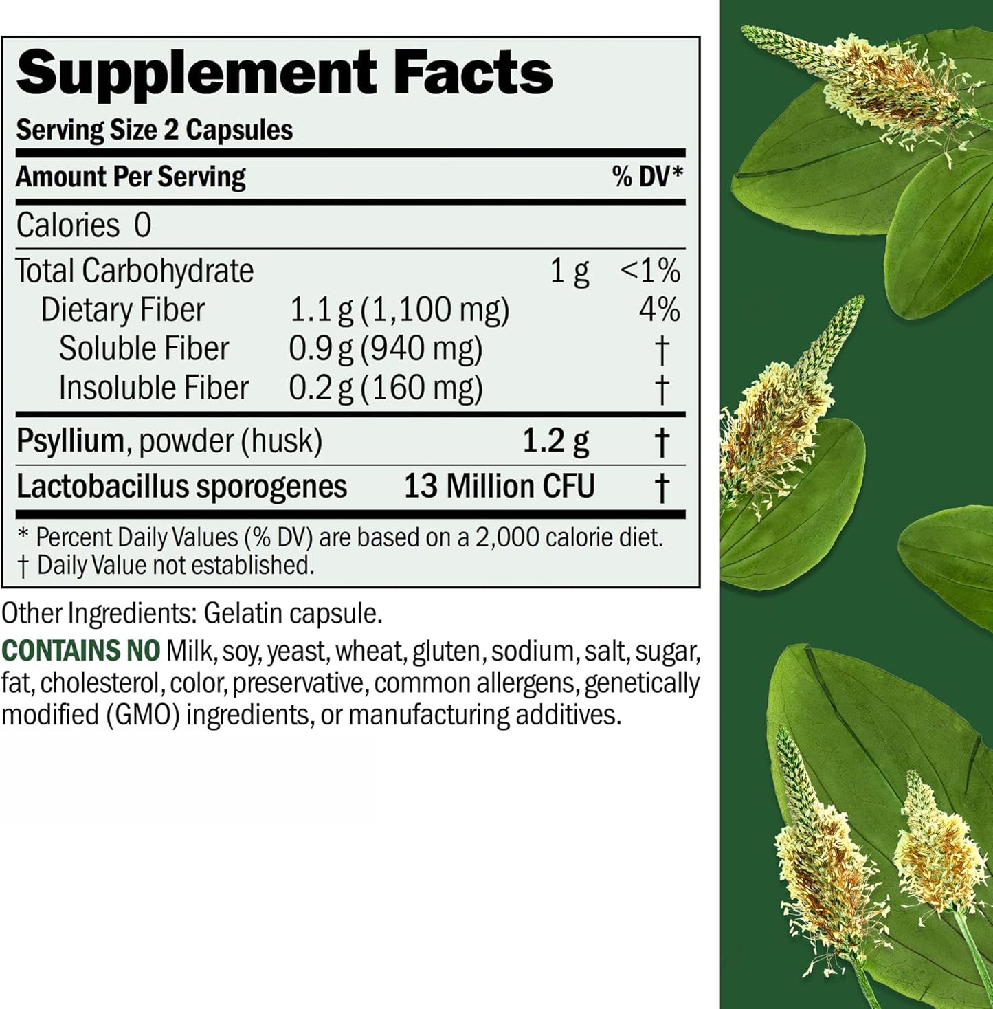 Psyllium Husk Powder Capsules - Gentle Fiber Supplement for Digestive Health -180 Count