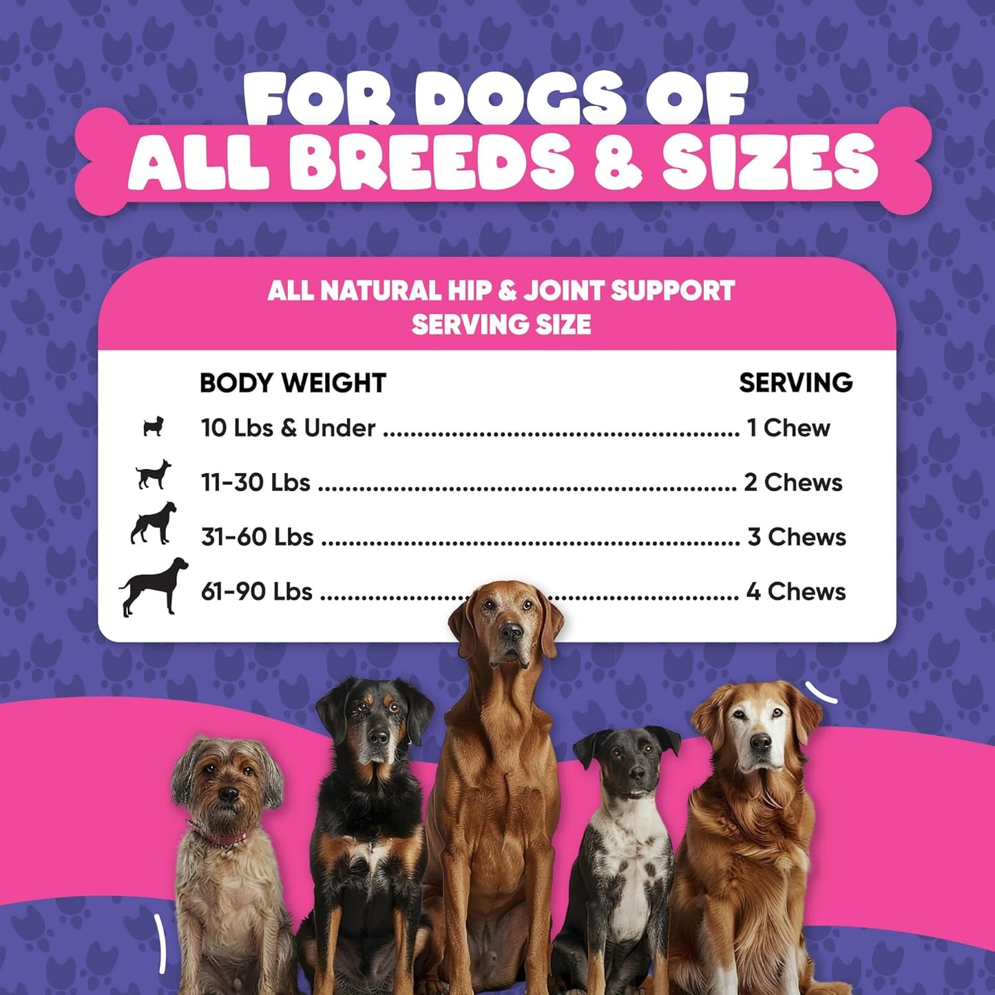 PupSnup Probiotic Soft Chews for Dogs - Supports Gut & Digestive Health - Boosts Immune System - Pumpkin & Papaya Powder - 120 Count - USA Made