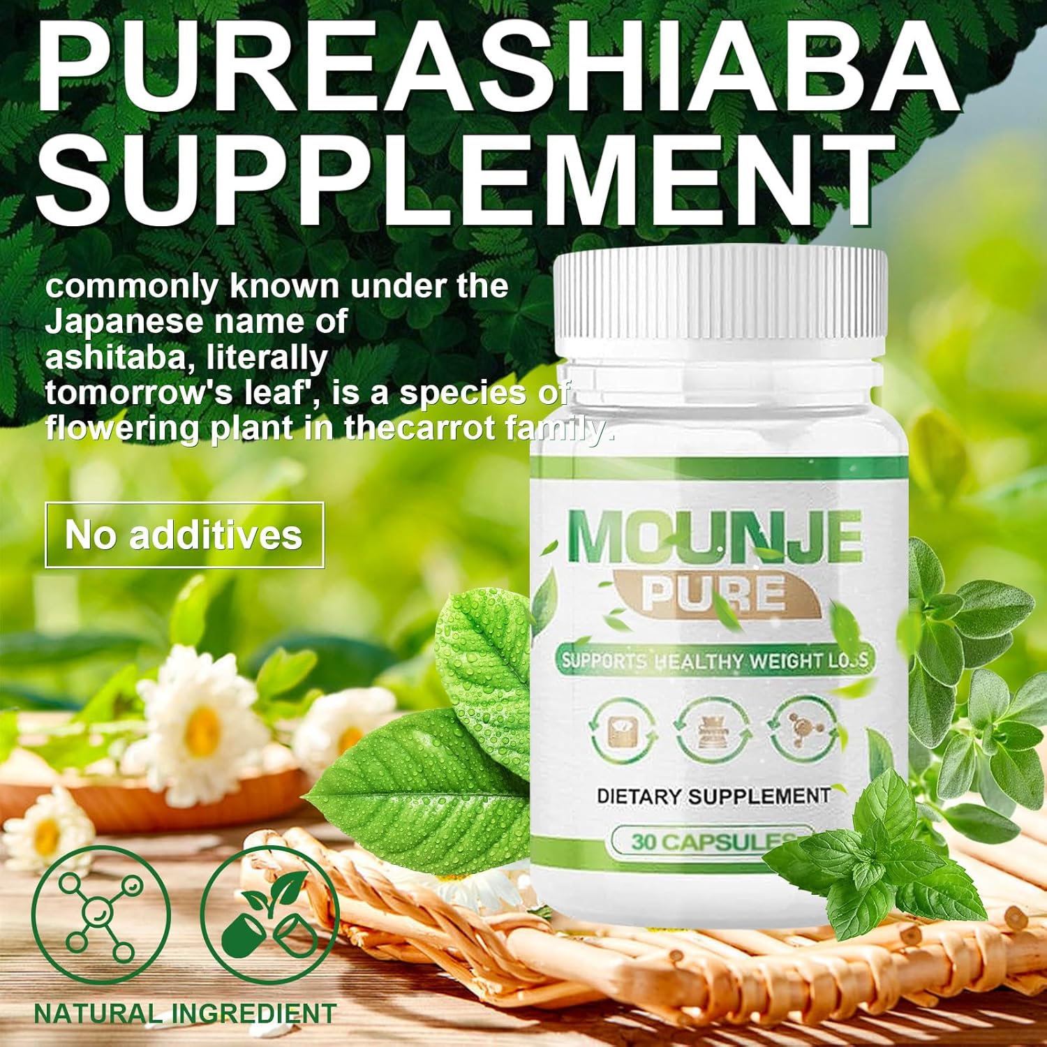 Pure BERTDF Mounje Ashitaba Supplement Capsules - 30 Count