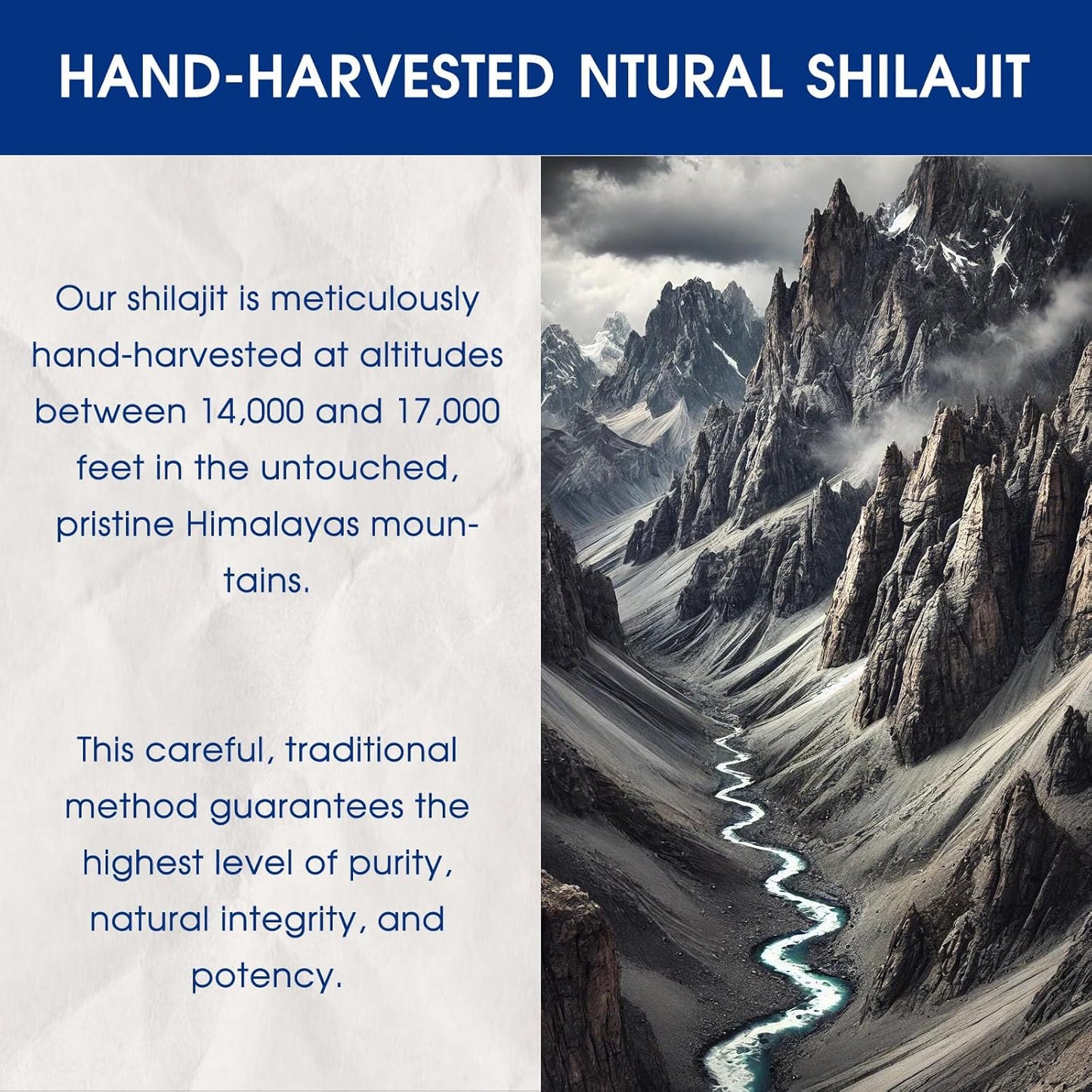 Pure Golden Grade Himalayan Shilajit Resin - Natural Energy Boost for Men & Women - 20g, 100 Servings - Lab Tested