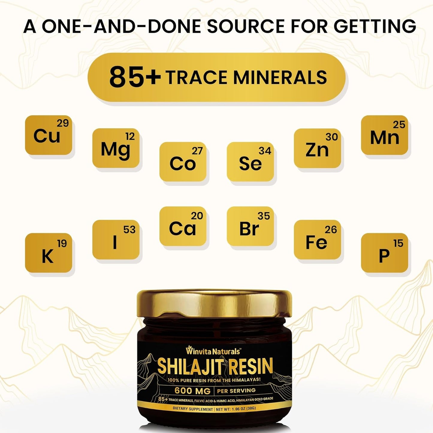 Pure Himalayan Organic Shilajit Resin - 600mg Gold Grade Supplement for Energy Boost & Immune Support, 85+ Trace Minerals, Fulvic Acid - 30g