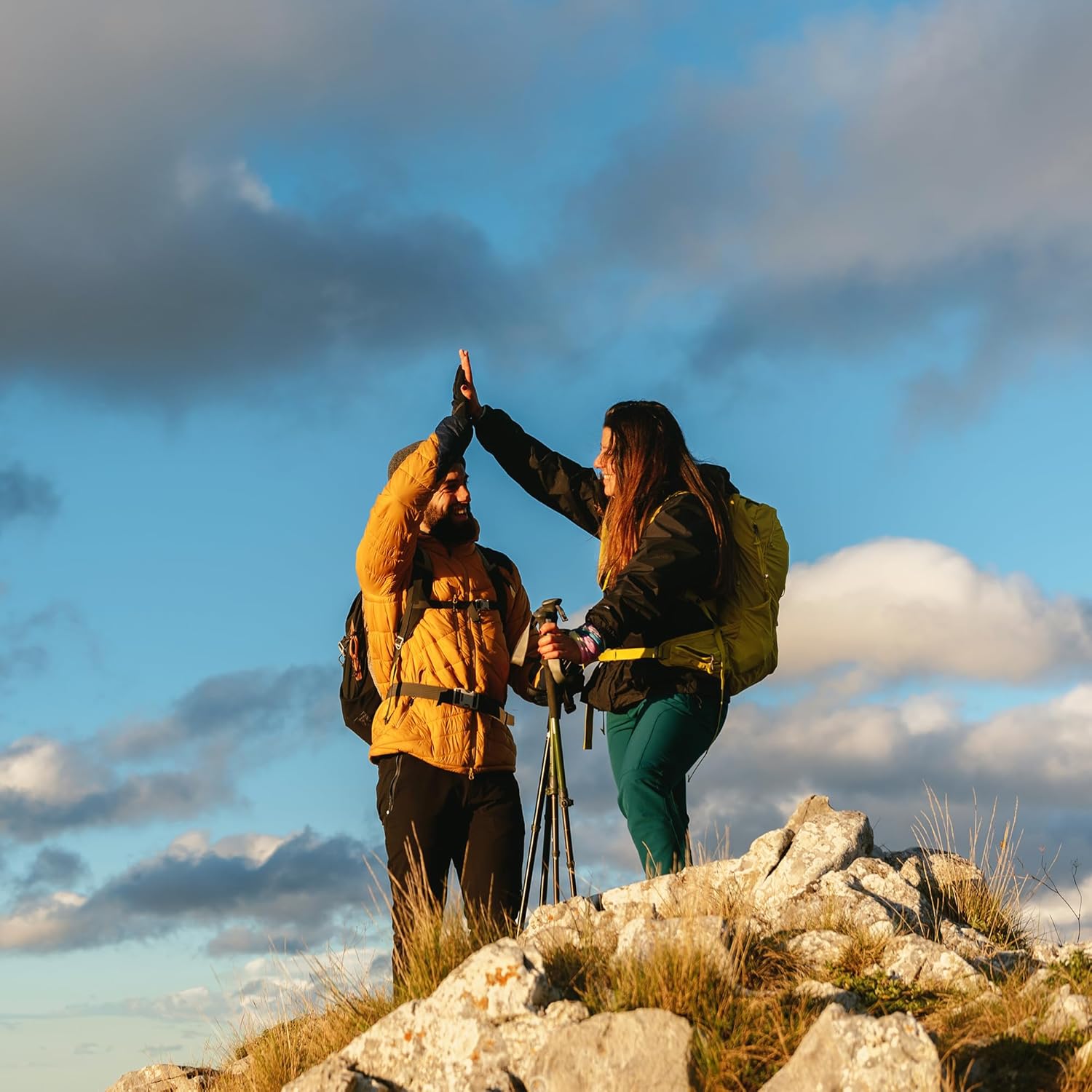 Pure N-Acetyl L-Tyrosine (NALT) 200 Capsules by Earthborn Elements - Additive-Free & Undiluted