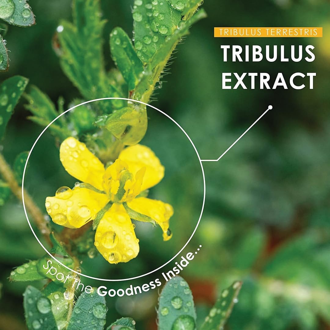 Pure & Natural Miniature Gokshura (Tribulus Terrestris) Tablets - Herbal Supplement | Gluten-Free | 90 Tablets, 45 Days Supply