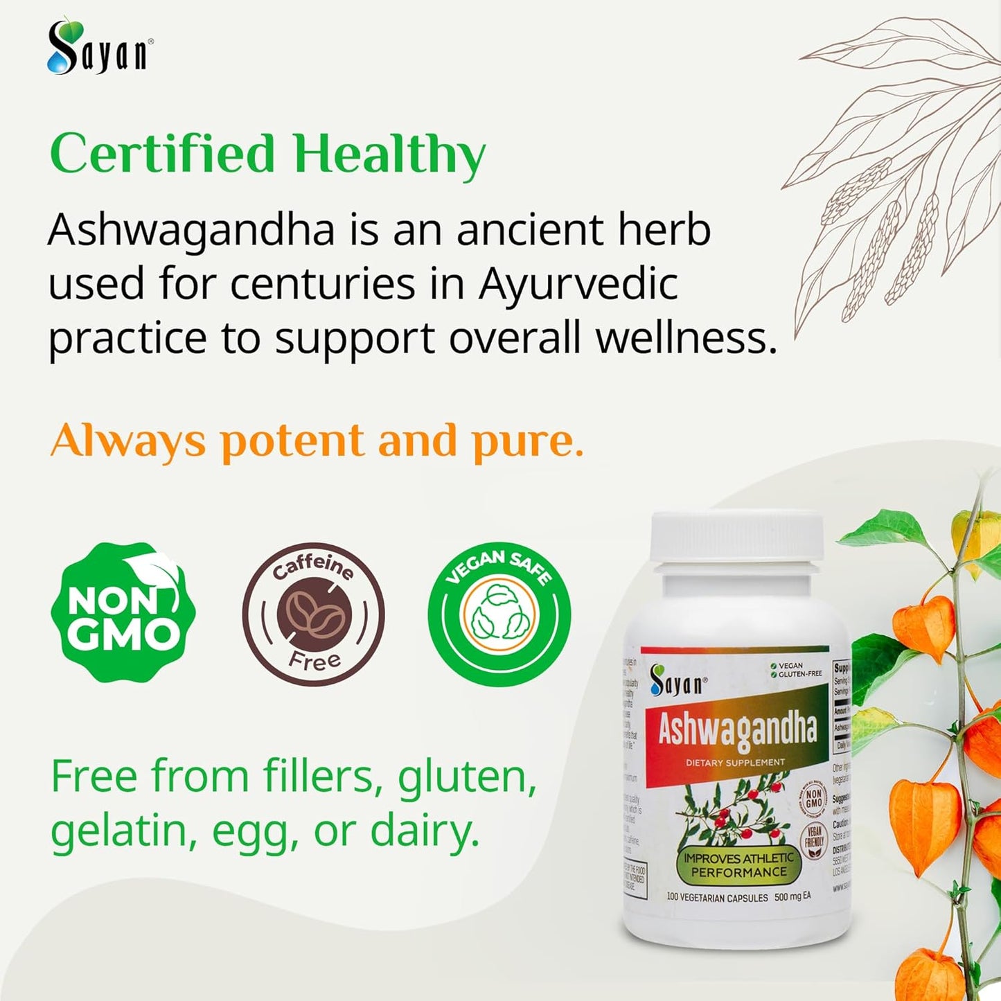 Pure & Potent Sayan Ashwagandha Capsules 500mg - Natural Immune Support & Energy Booster - Non-GMO with No Fillers - 100 Capsules